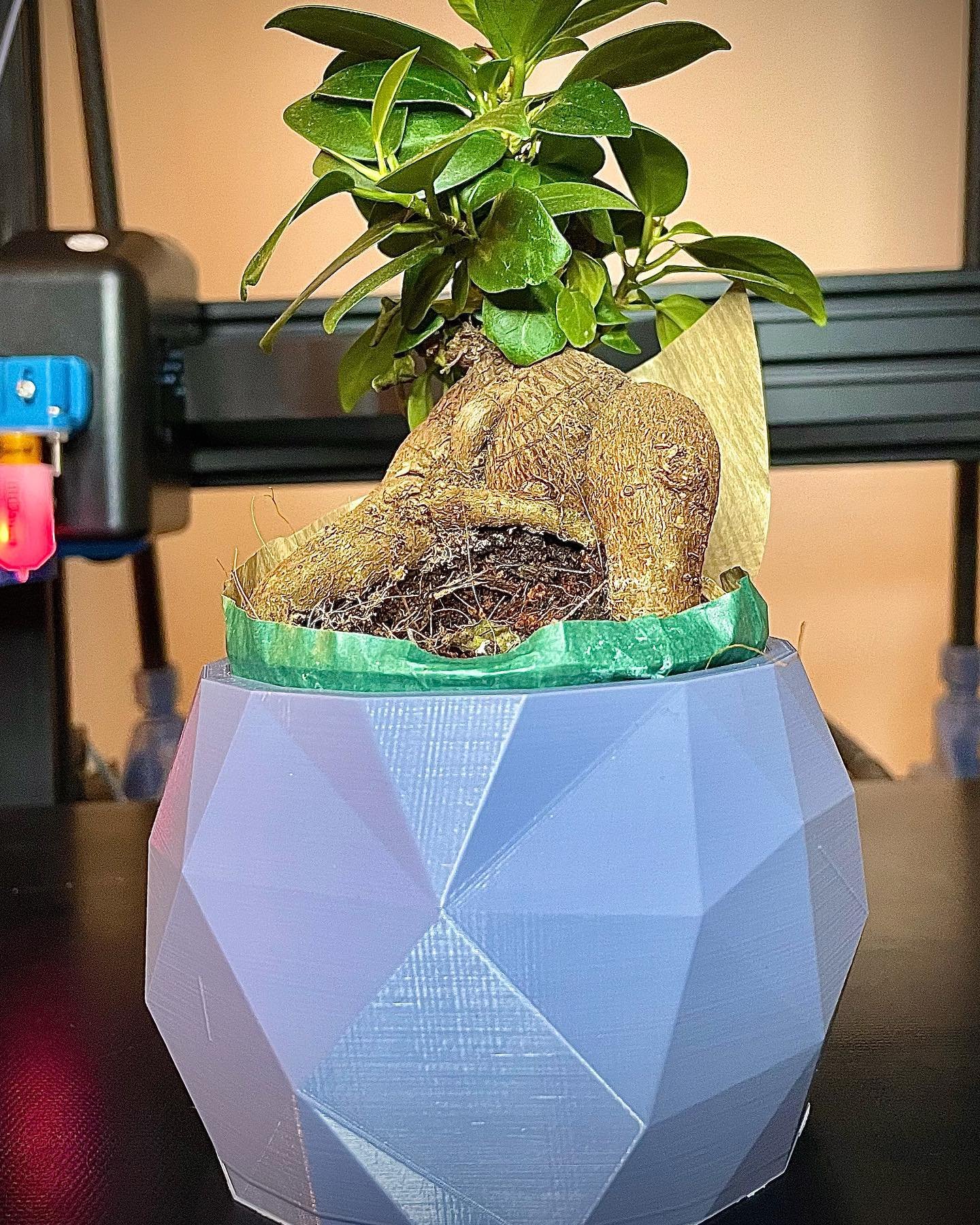 Our first time from design to print!
Think our special bonsai will love his new home.
#3dprint #3dprinting #3dprinter #bonsai #plantpot #geometric #lowpoly3d #artillerysidewinderx1