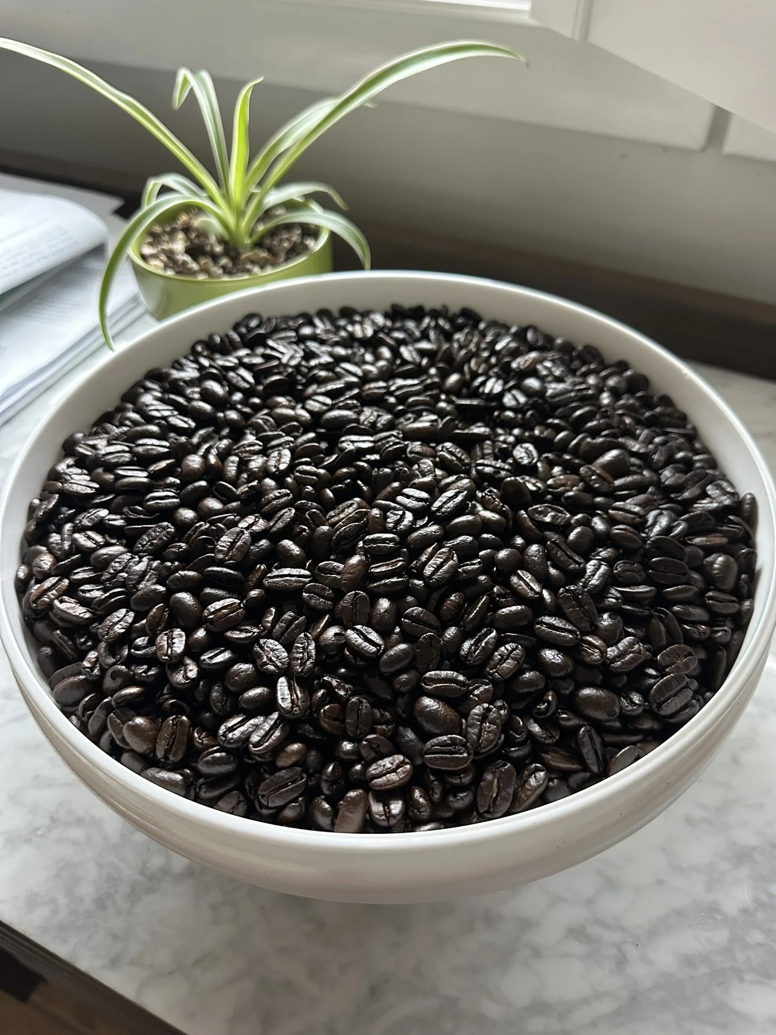 Sumatra - Dark Roast | Fair Trade • Organic • 12 oz