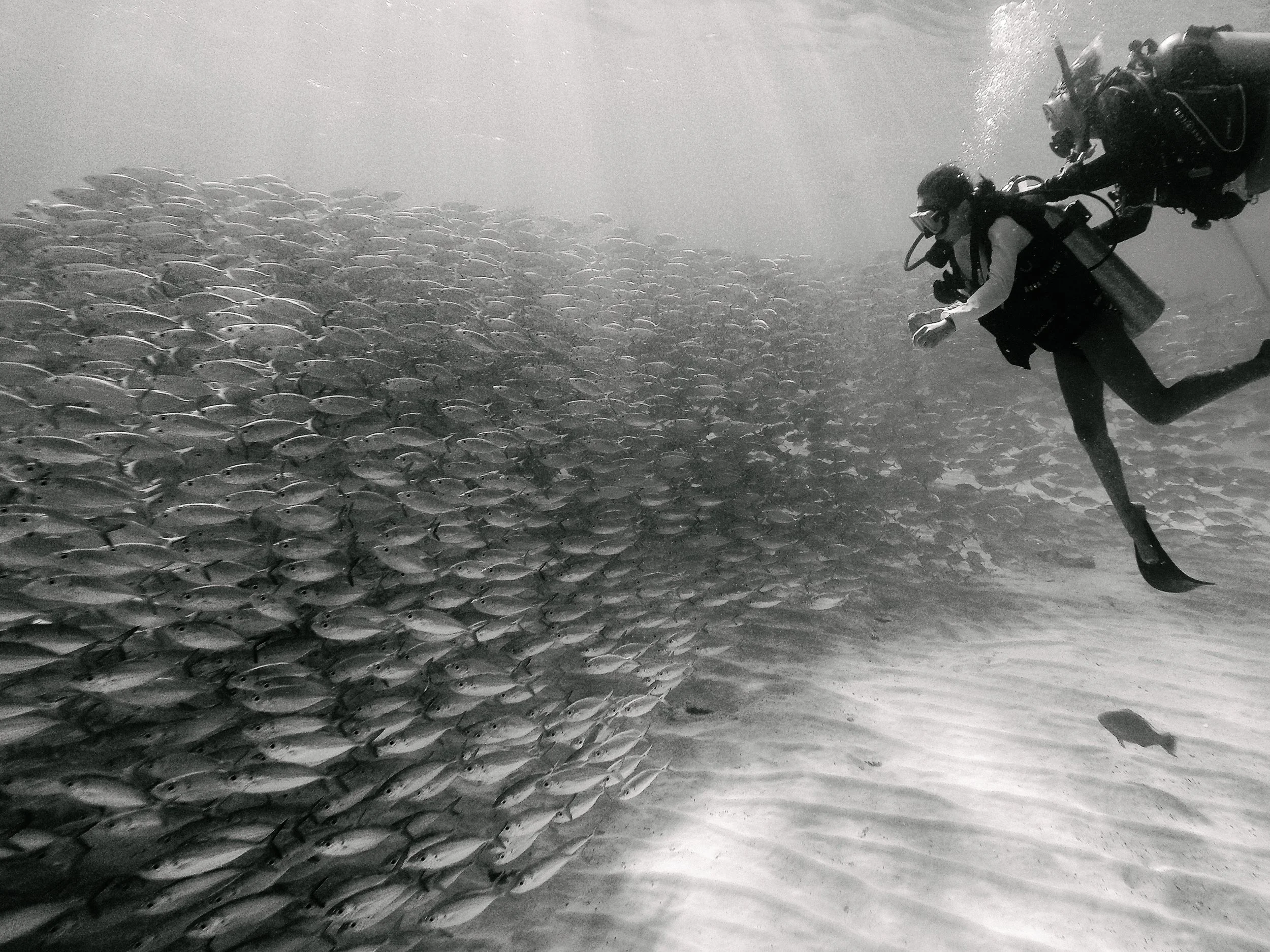 116991-5-16 palawan_Original.jpeg