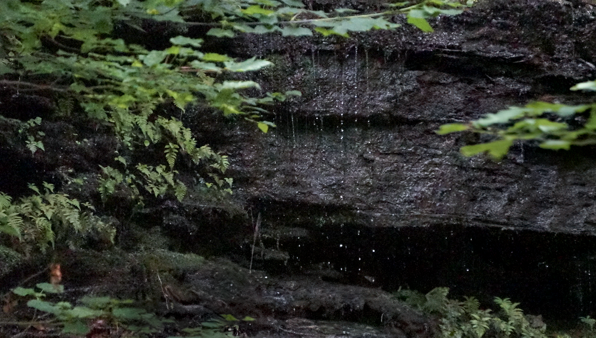 DSC01939.png