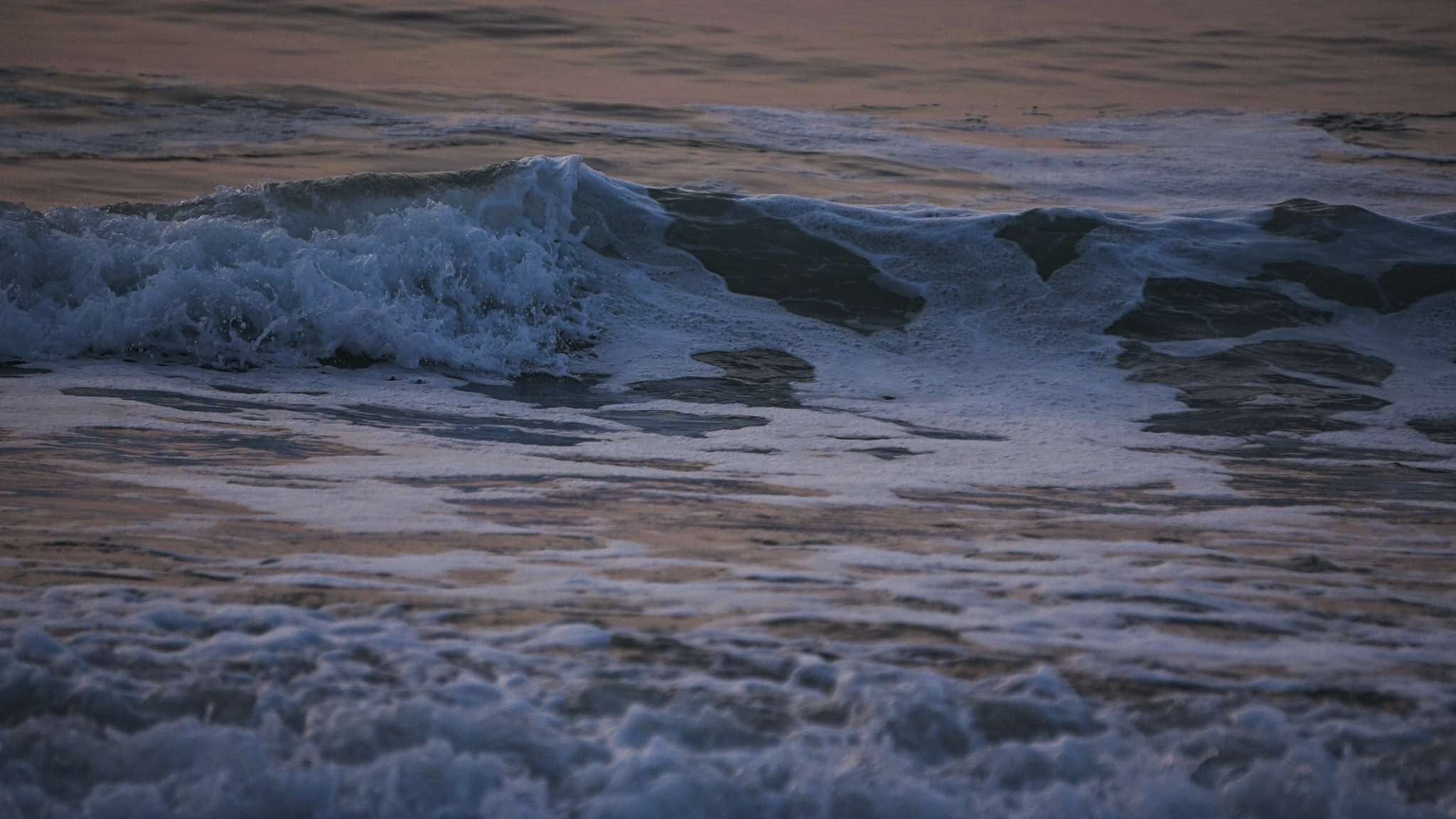 LRG_DSC02068 4.png