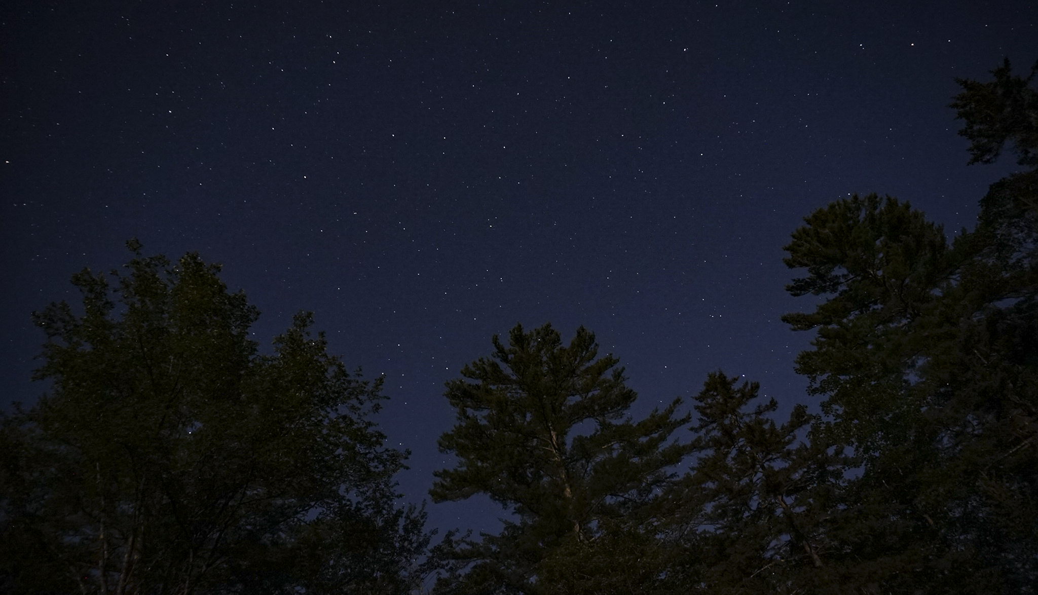 LRG_DSC02339.png