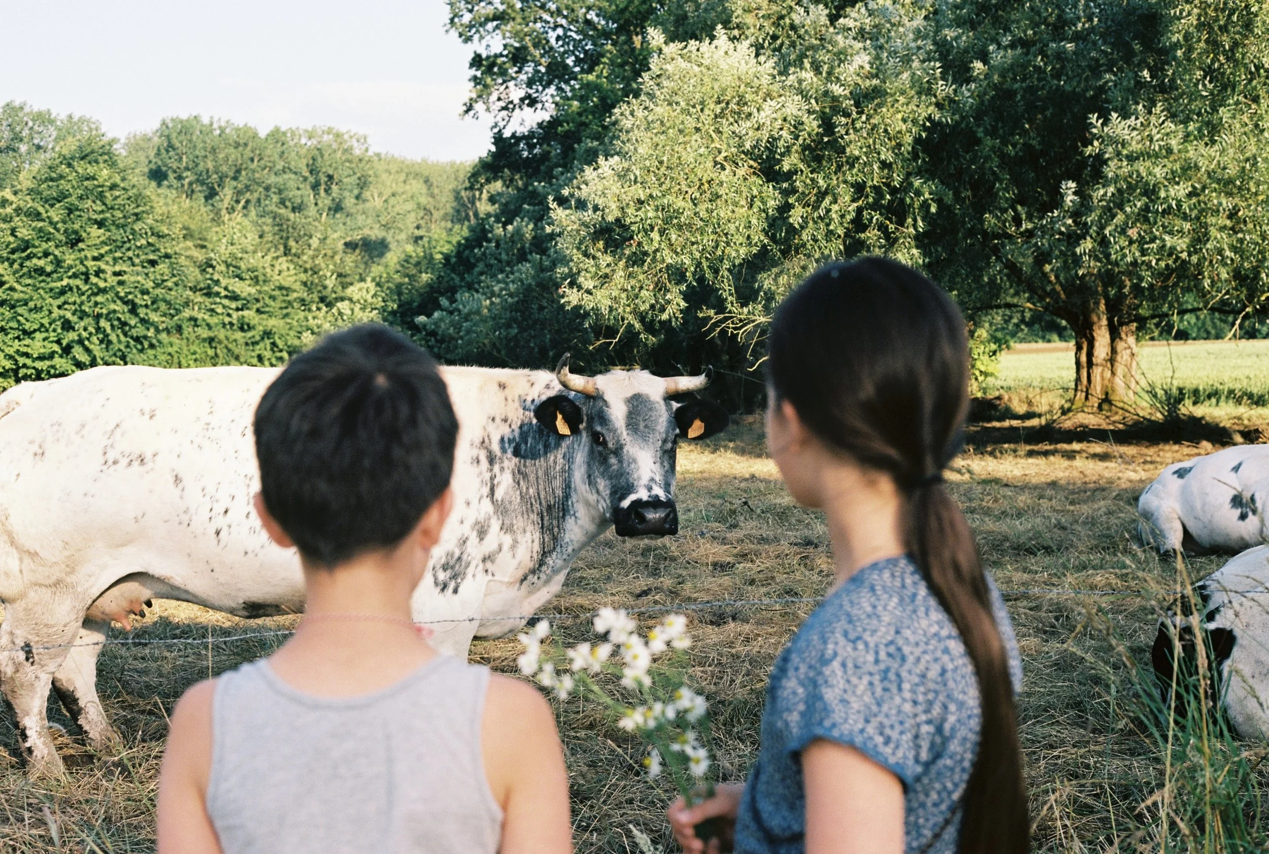 Sint-Lievens-Esse, 2024