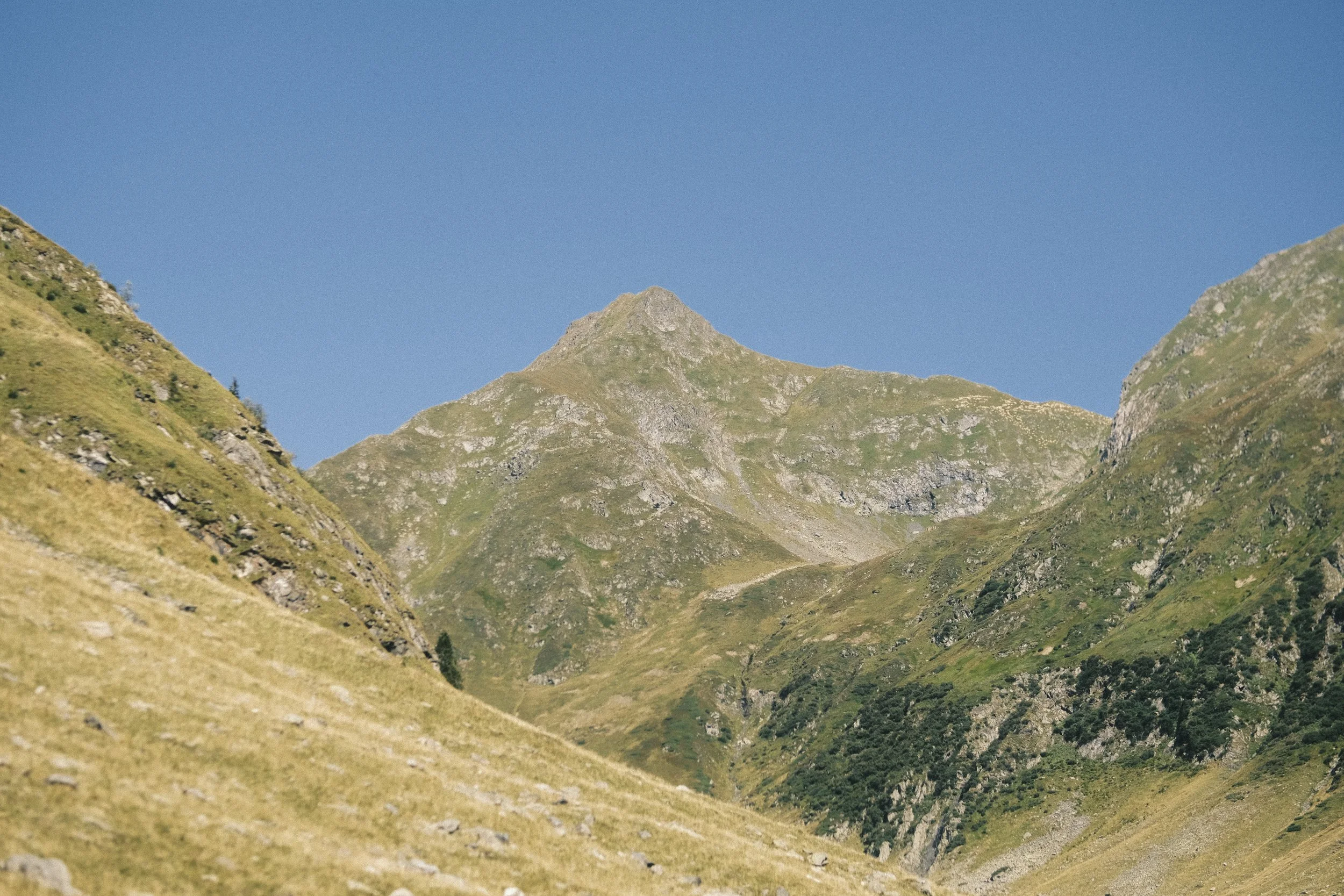 DSCF3527.jpg