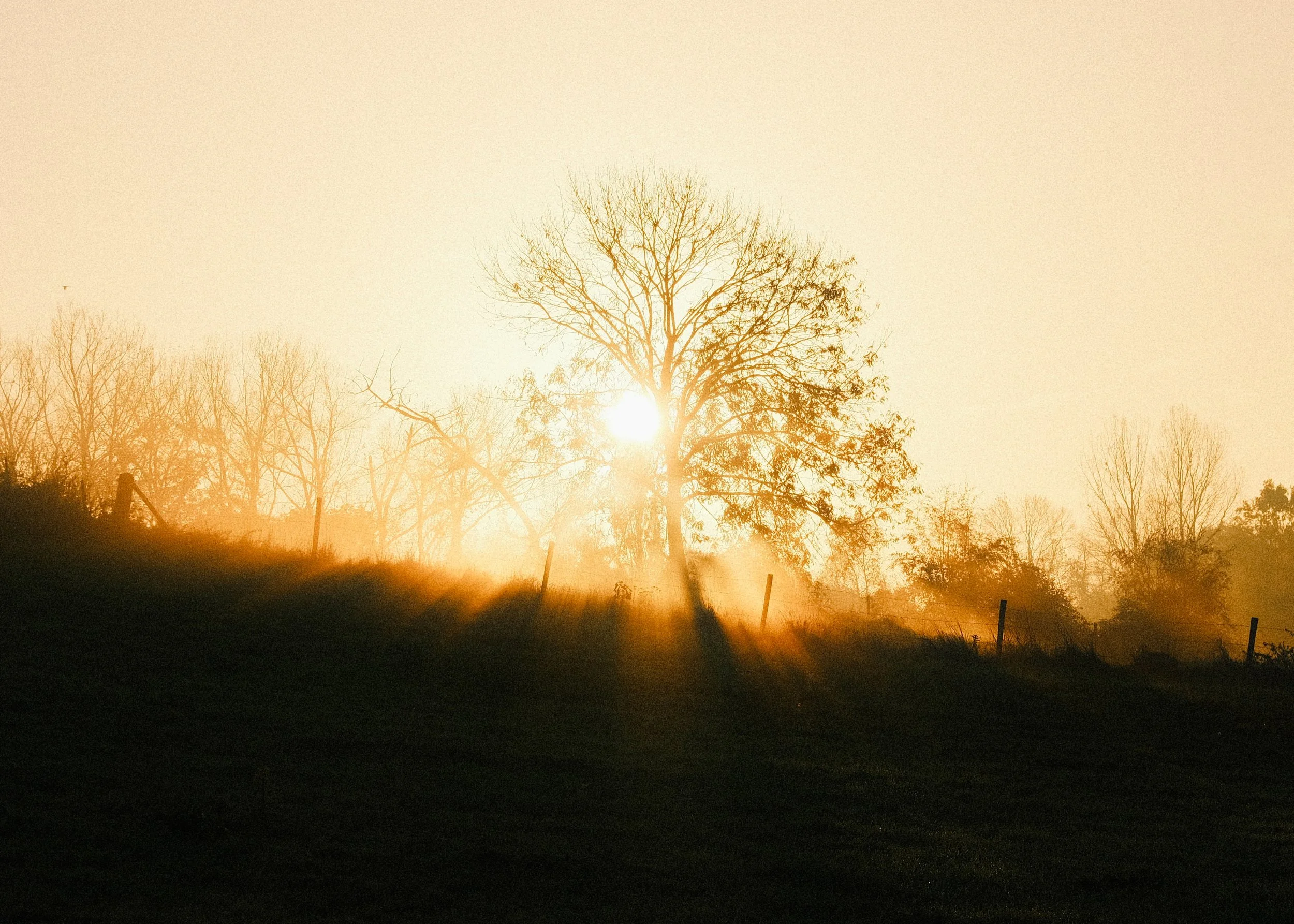 DSCF6863 3.JPG