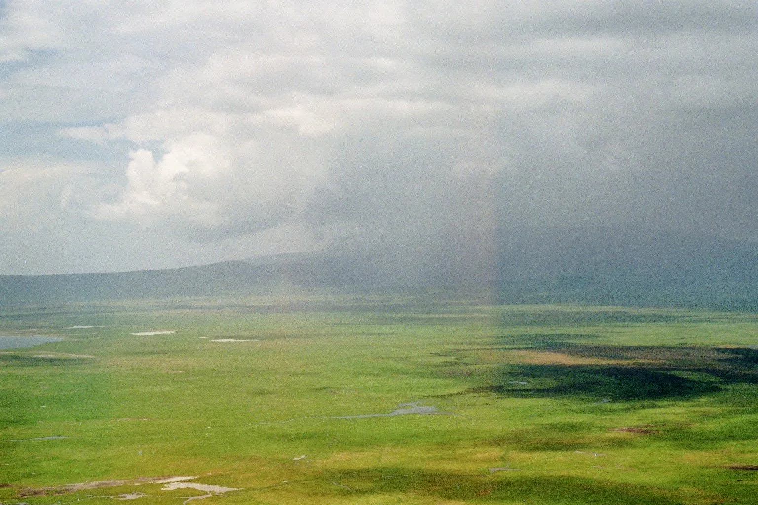 Ngorongoro, 2024