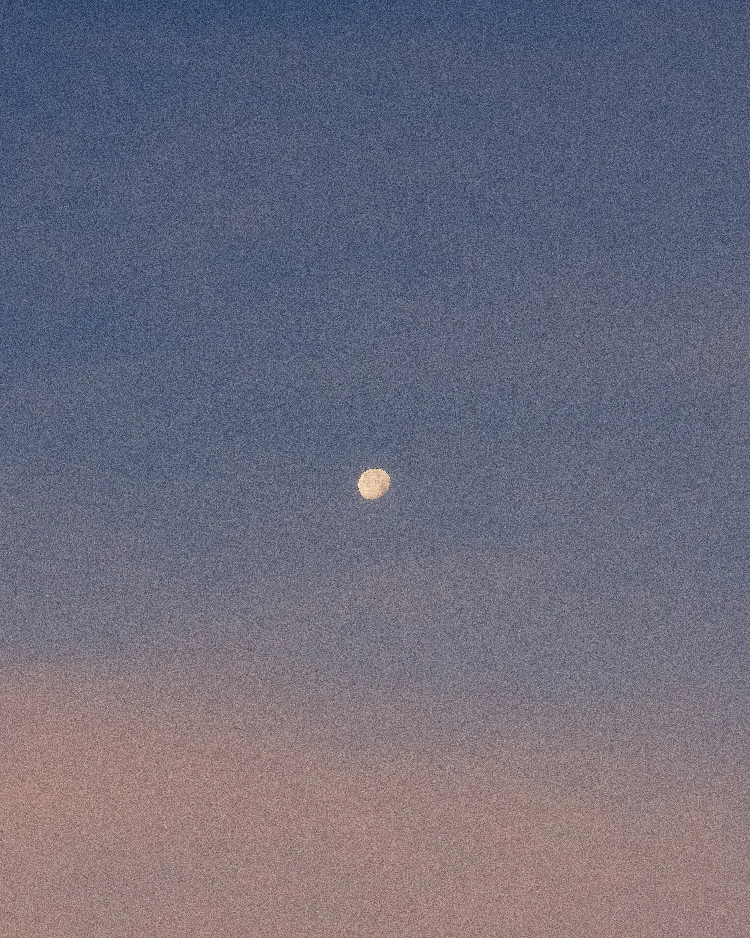 DSCF6798.jpg