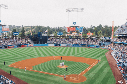 Hitting It Out of the Park: The Search for an All-Star VP of Software Sales