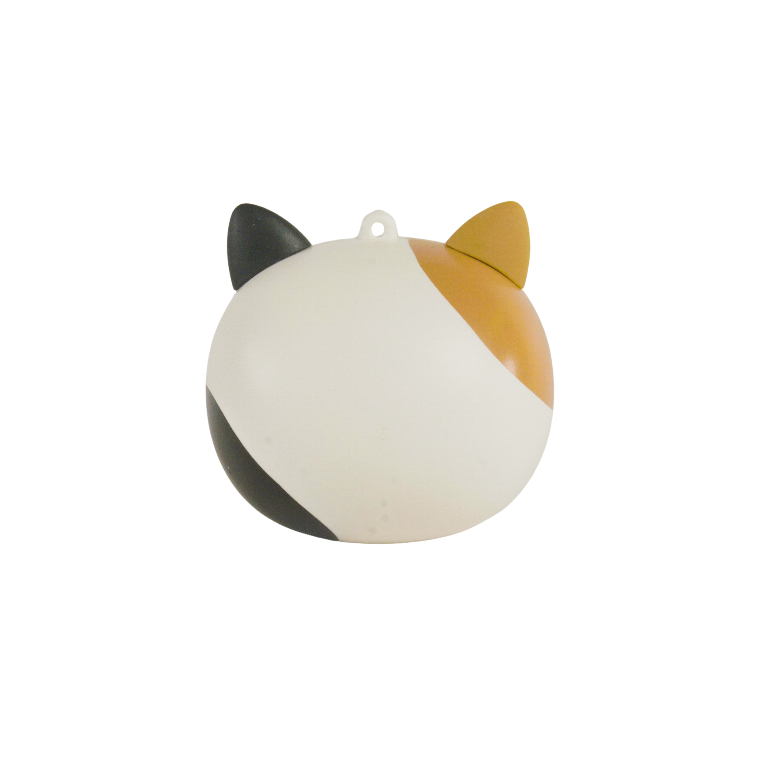 TWSSQM-SPIN-CAM (5).png