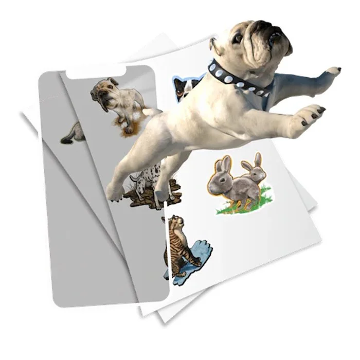 HTST100PetParty-2.jpg