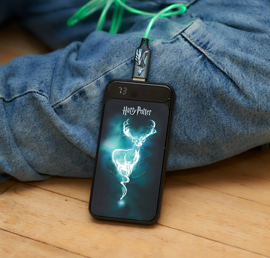 Harry Potter 10,000mAh Light-Up Powerbank