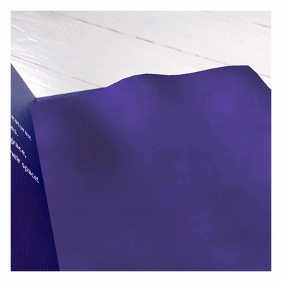 Sea Creatures Holographic Interactive Storybook
