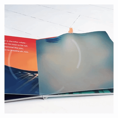 Holographic Storybooks