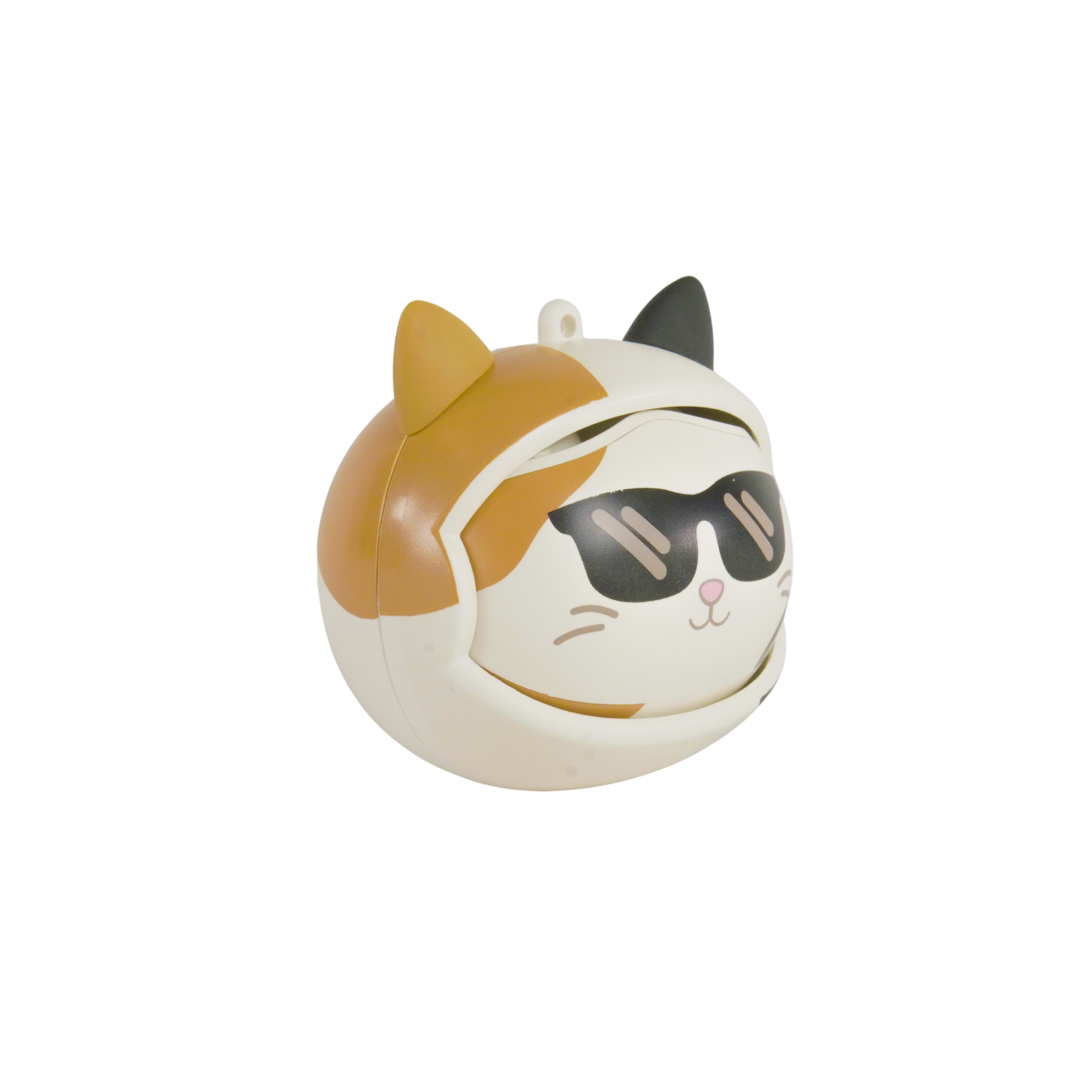 TWSSQM-SPIN-CAM (4).png