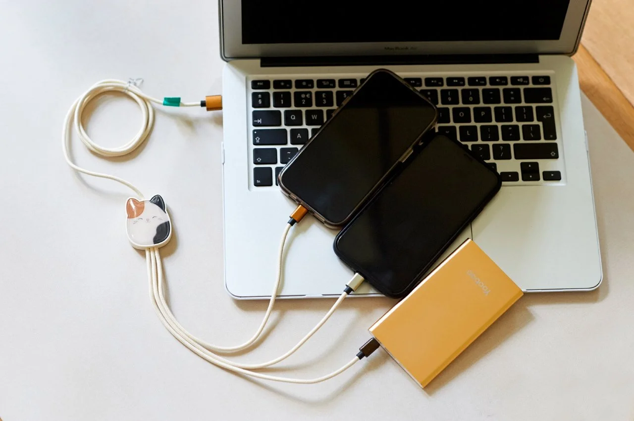 Squishmallows 3-in-1 Charging Cable - Cam the Cat