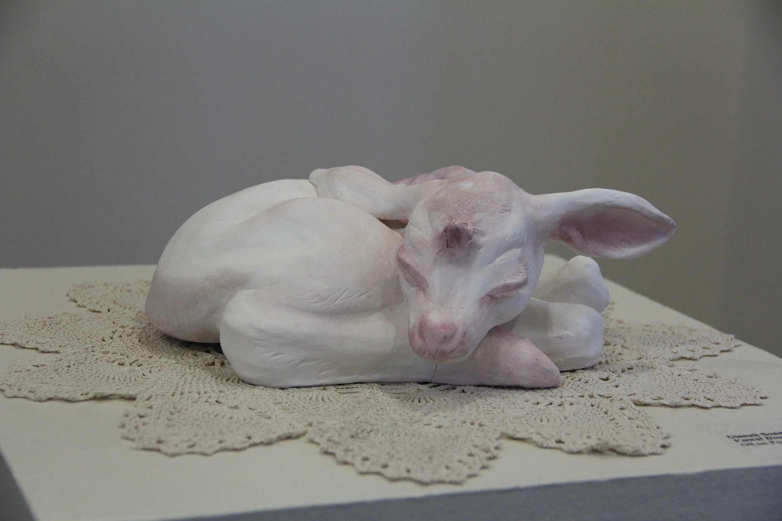 IMG_5517.JPG