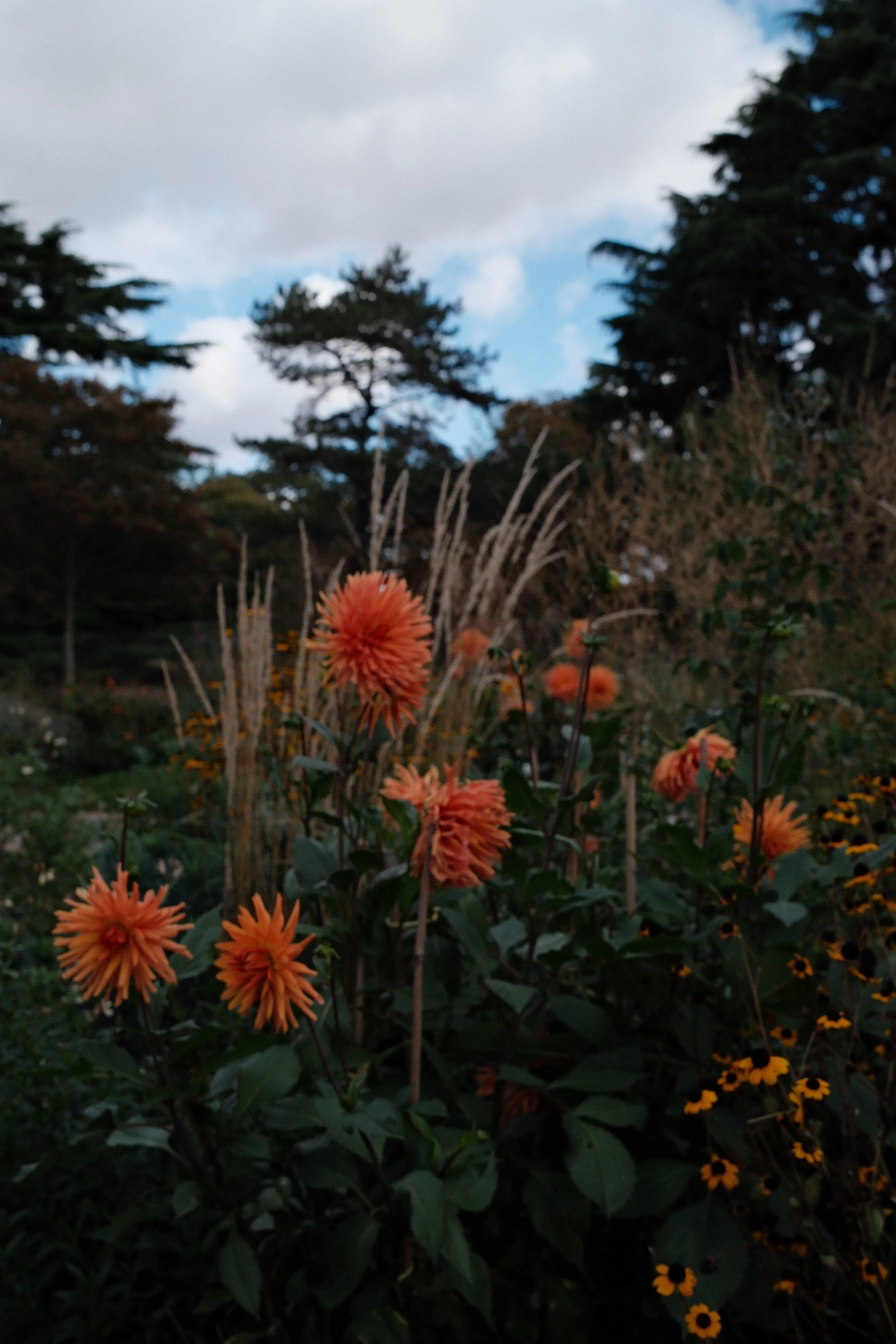 DSCF2408.JPG