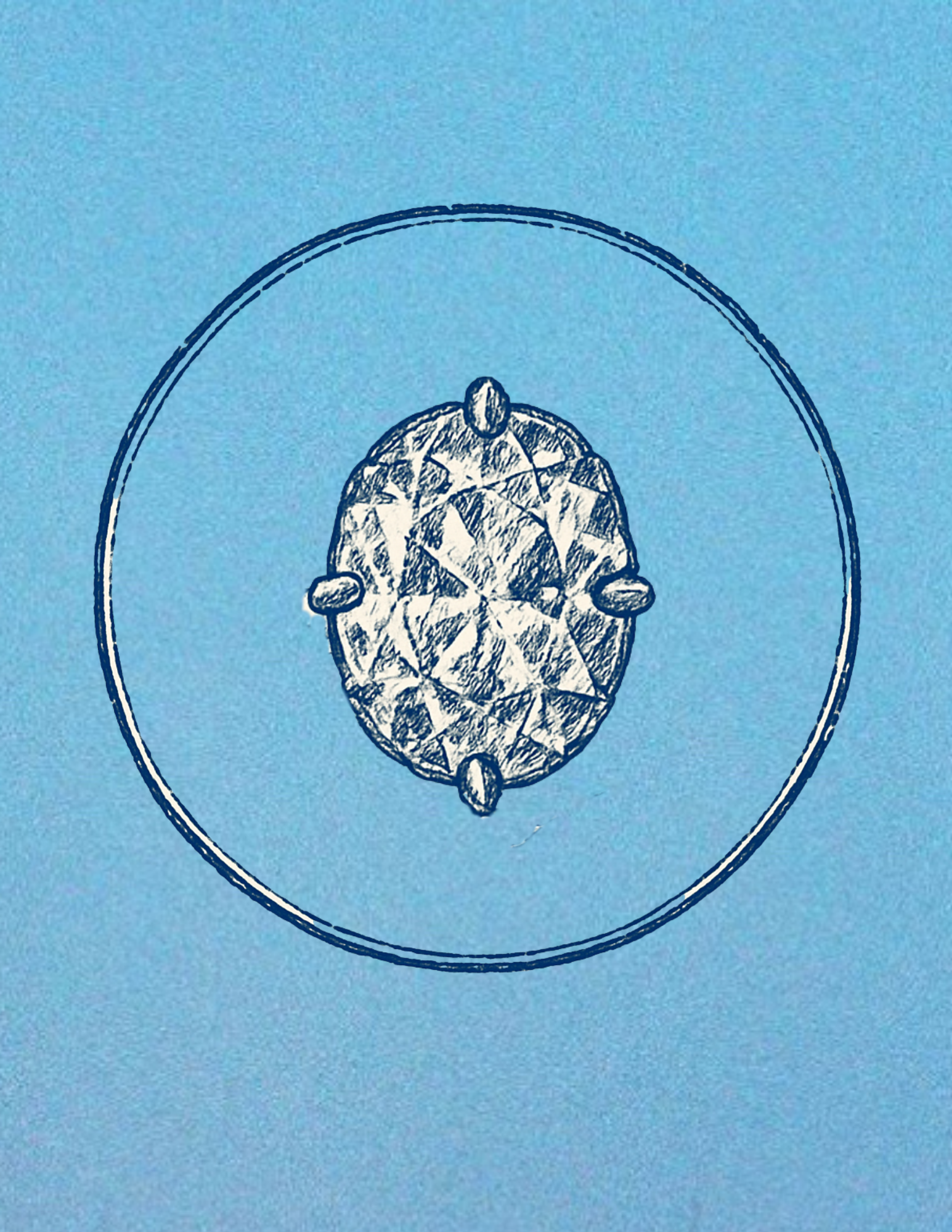 Sketch of a diamond on a blue background, surrounded by a double circle.