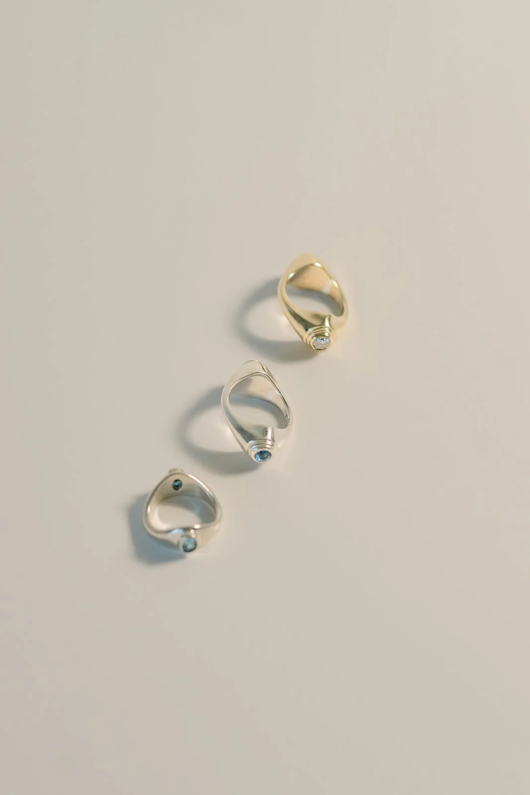 WCISY  rings birds eye 4.jpg