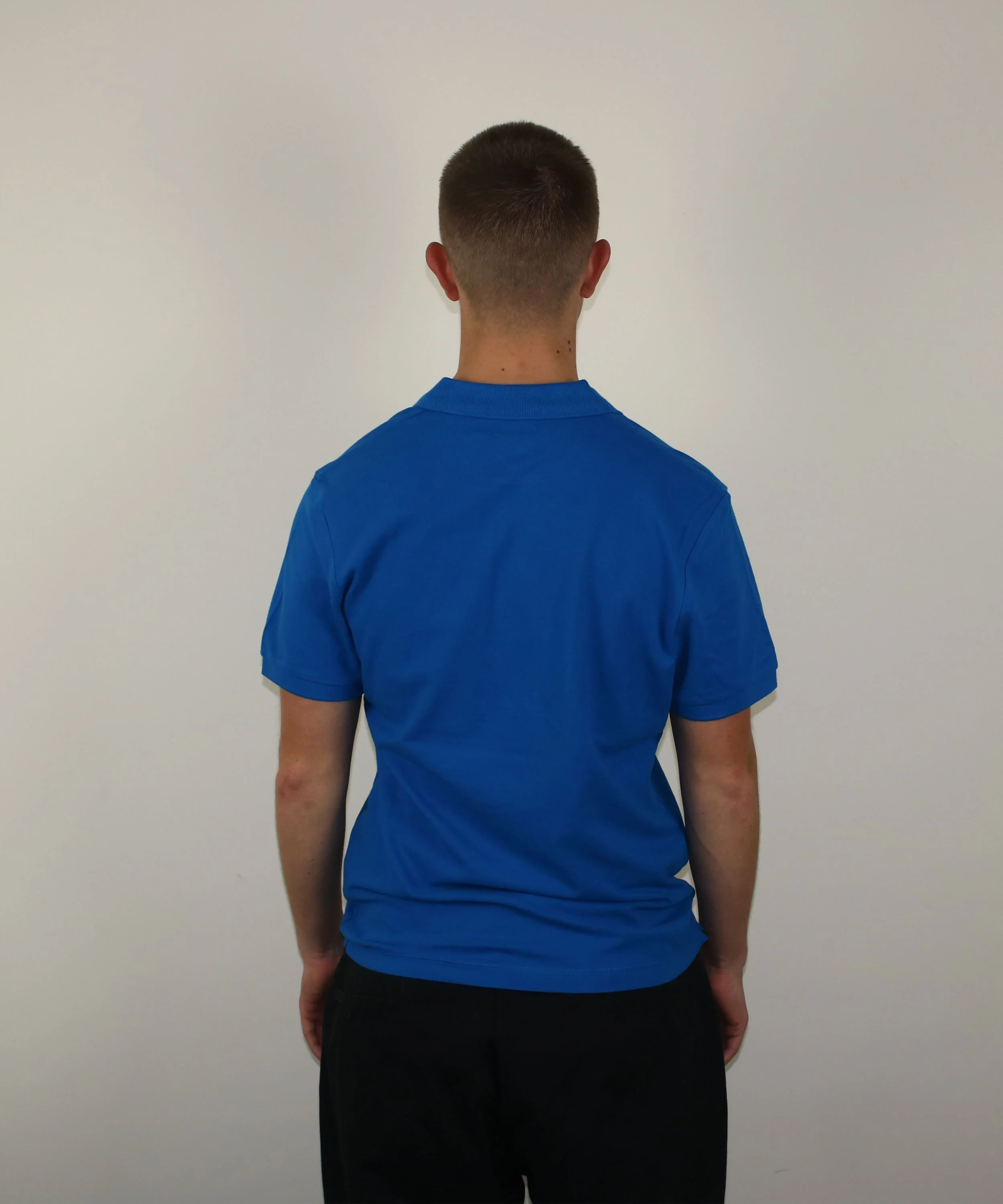 Mens-polo-wing-it-royal-blue-3.jpg
