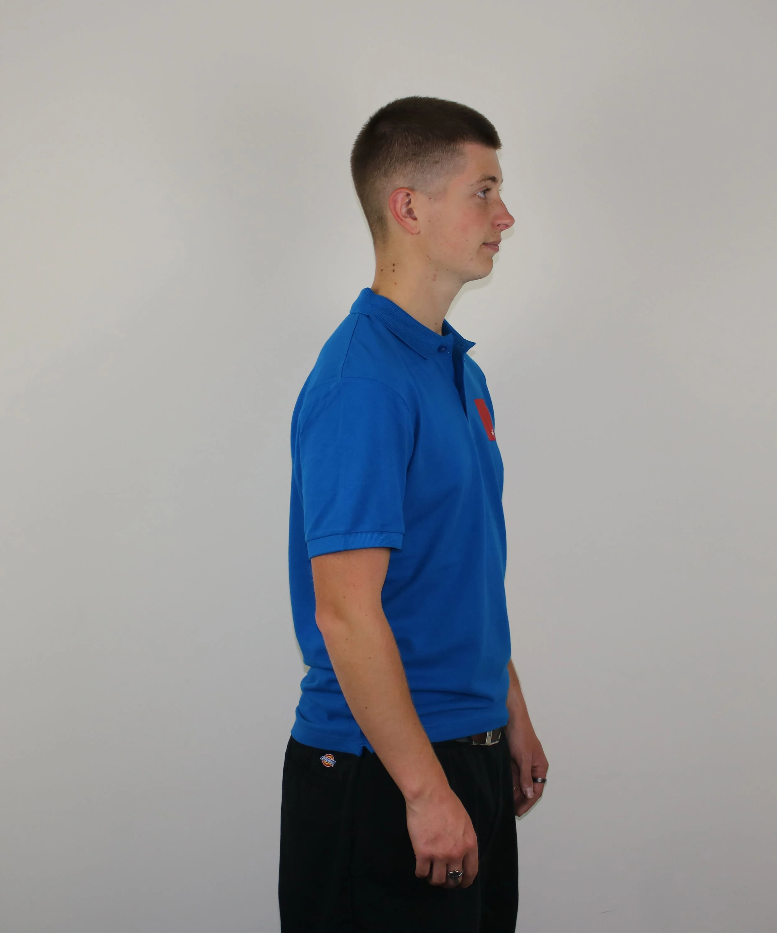 Mens-polo-wing-it-royal-blue-2.jpg