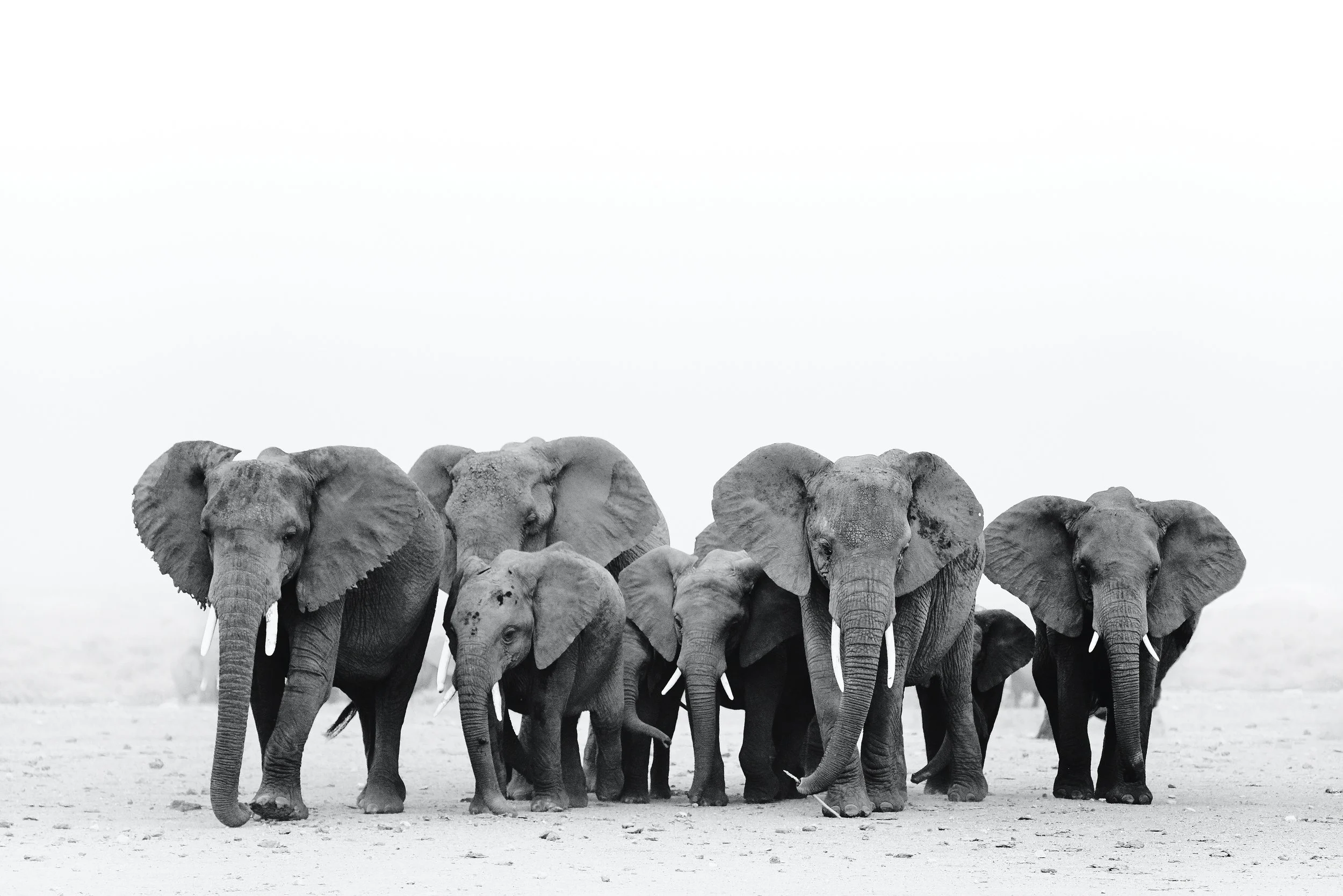 LinkedIn Ads Aren’t Just for Giants: Why Even Boutique Firms Should Pay Attention