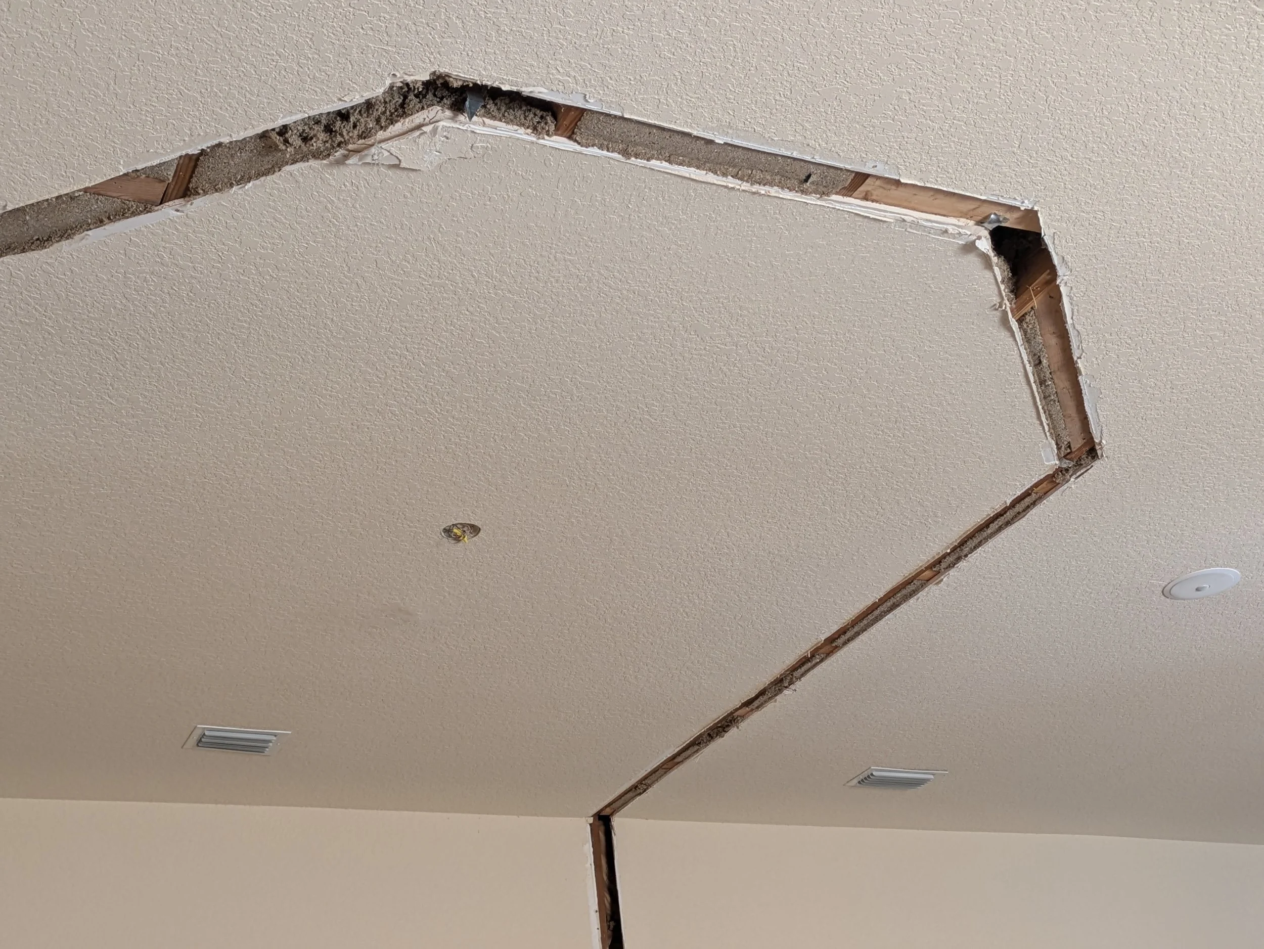 Ceiling with damaged drywall and exposed wooden framing and insulation.