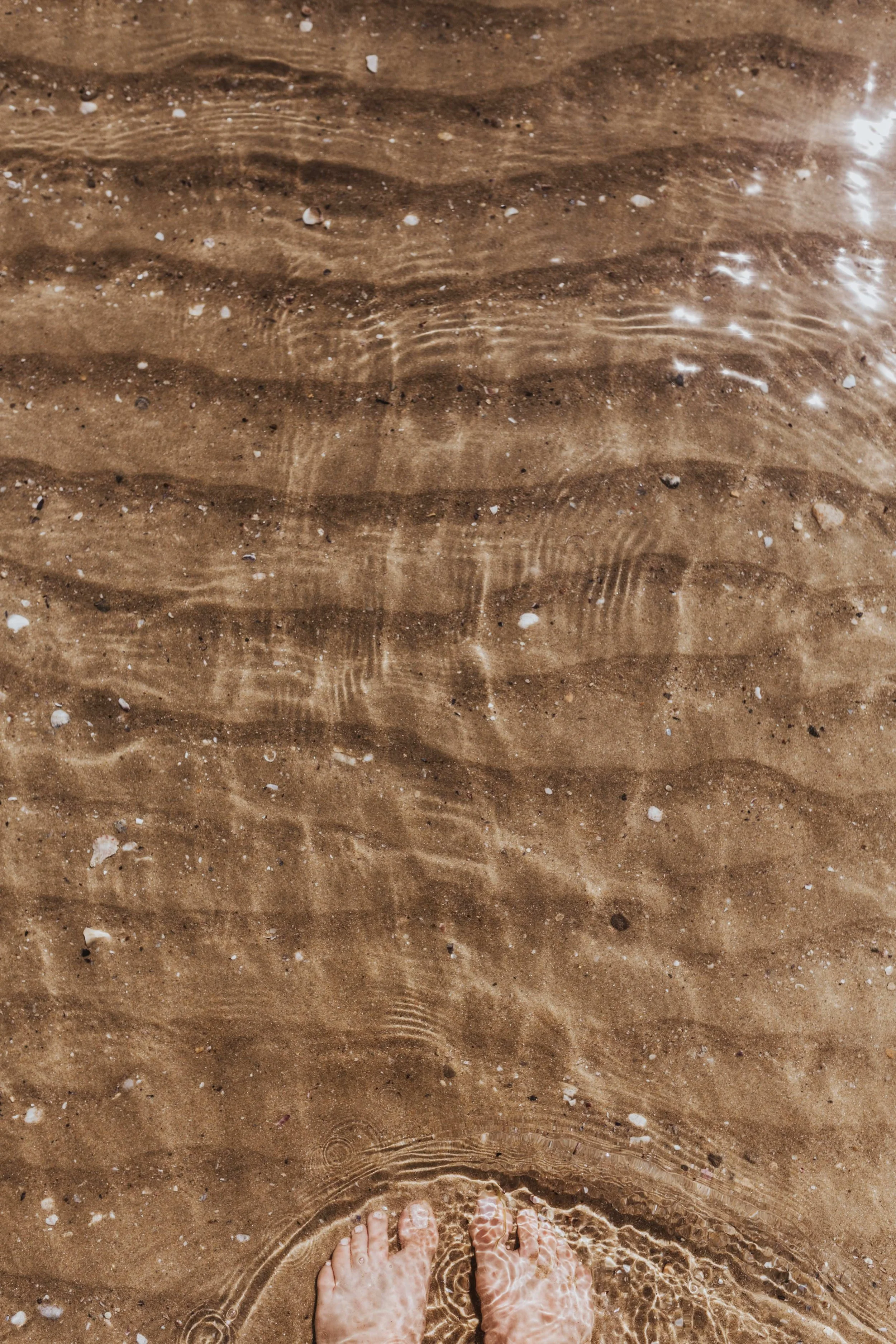 Feet standing at the edge of ocean waves representing grounding and healing in trauma therapy.