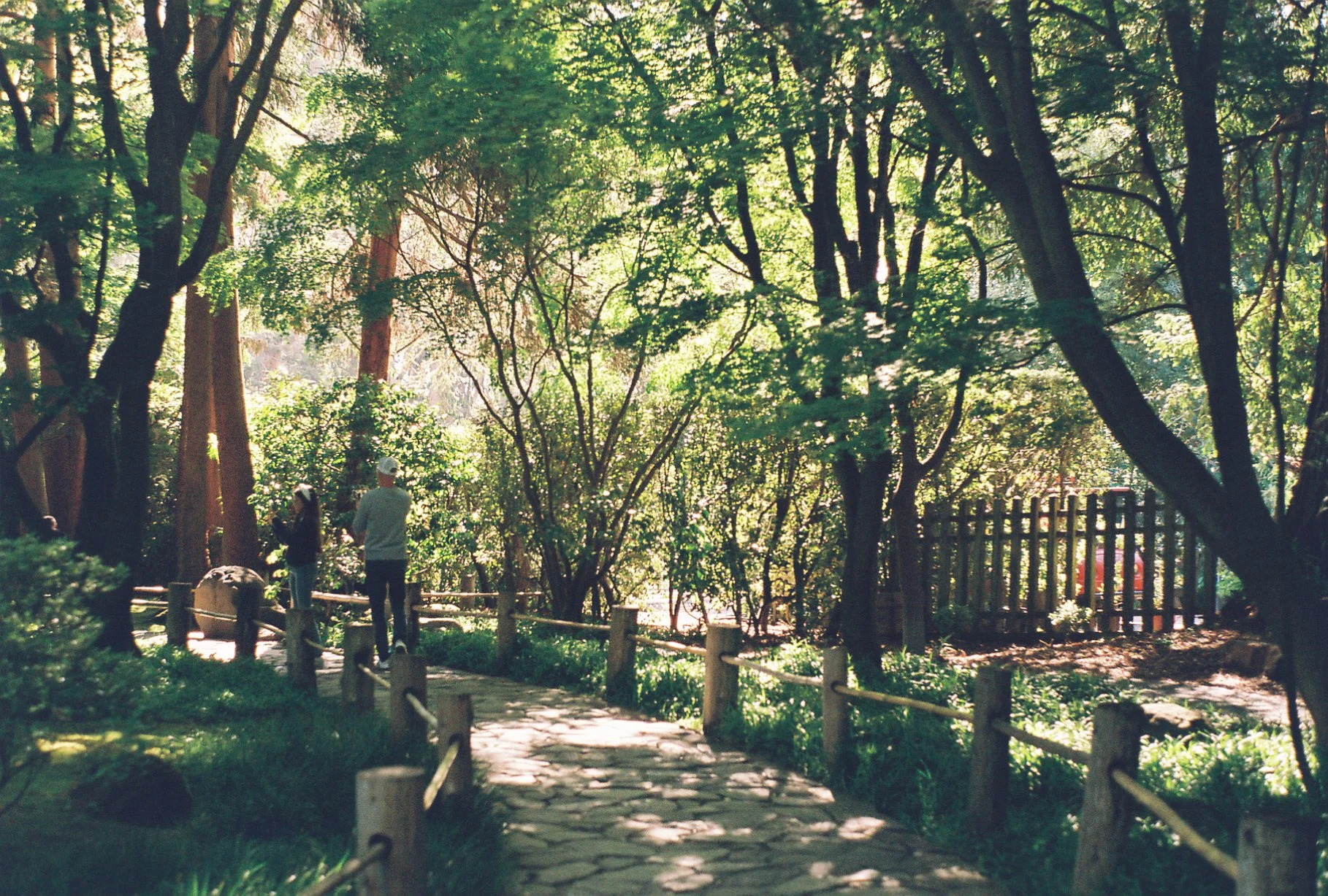 Film shot at the Japanese Tea Garden in San Francisco, CA