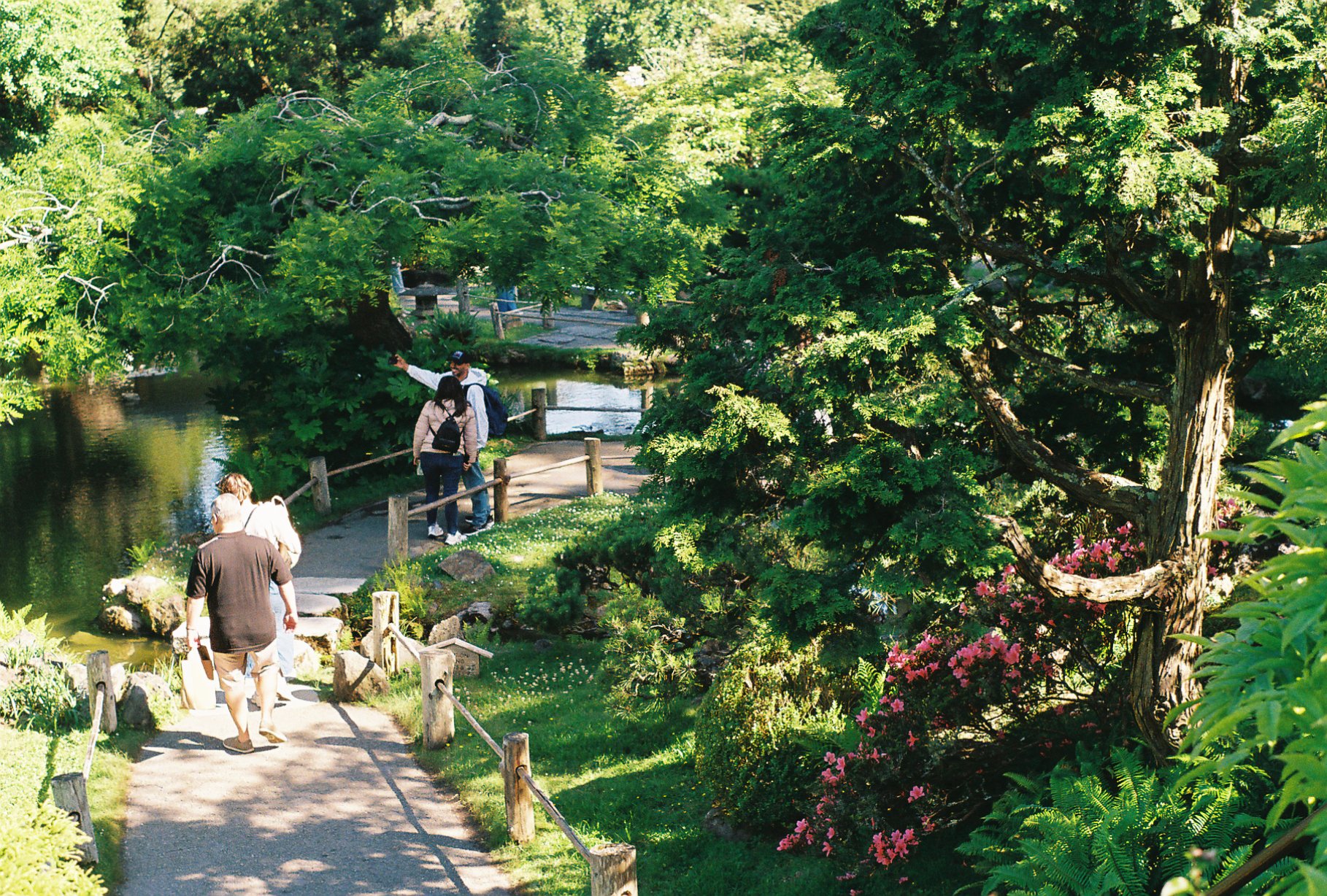 Film shot at the Japanese Tea Garden in San Francisco, CA