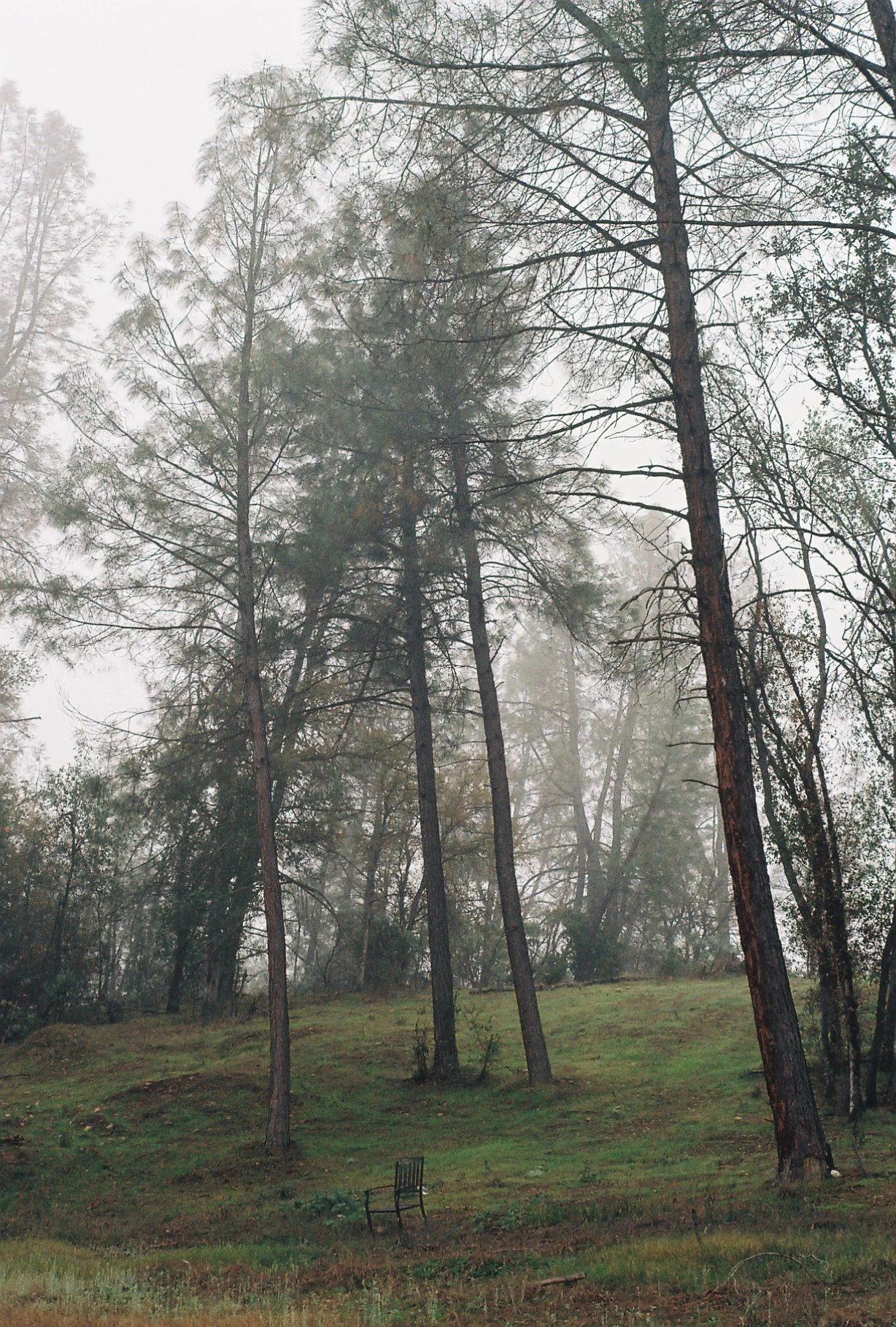 Film shot in Redding, CA