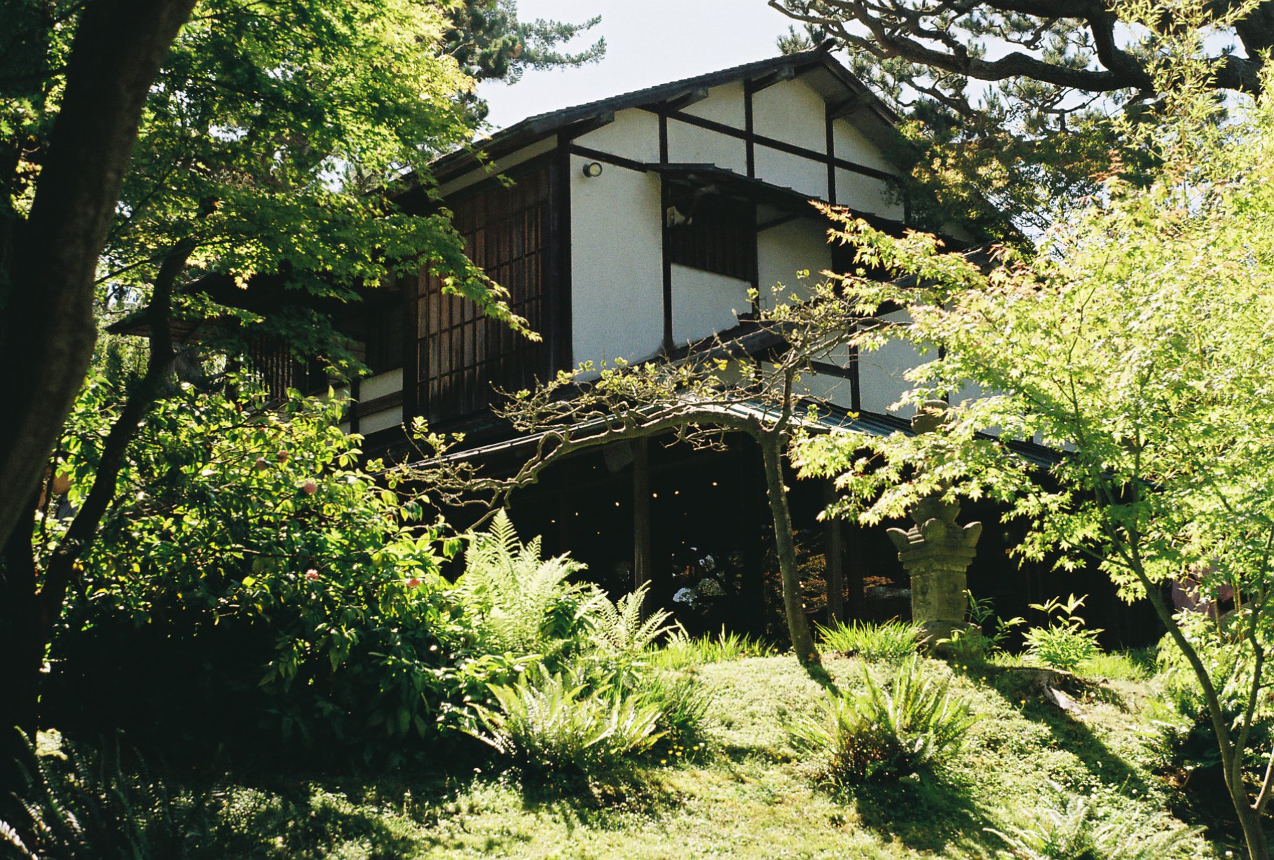 Film shot at the Japanese Tea Garden in San Francisco, CA