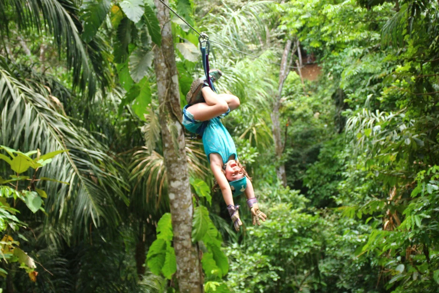 Upside Down in Costa Rica