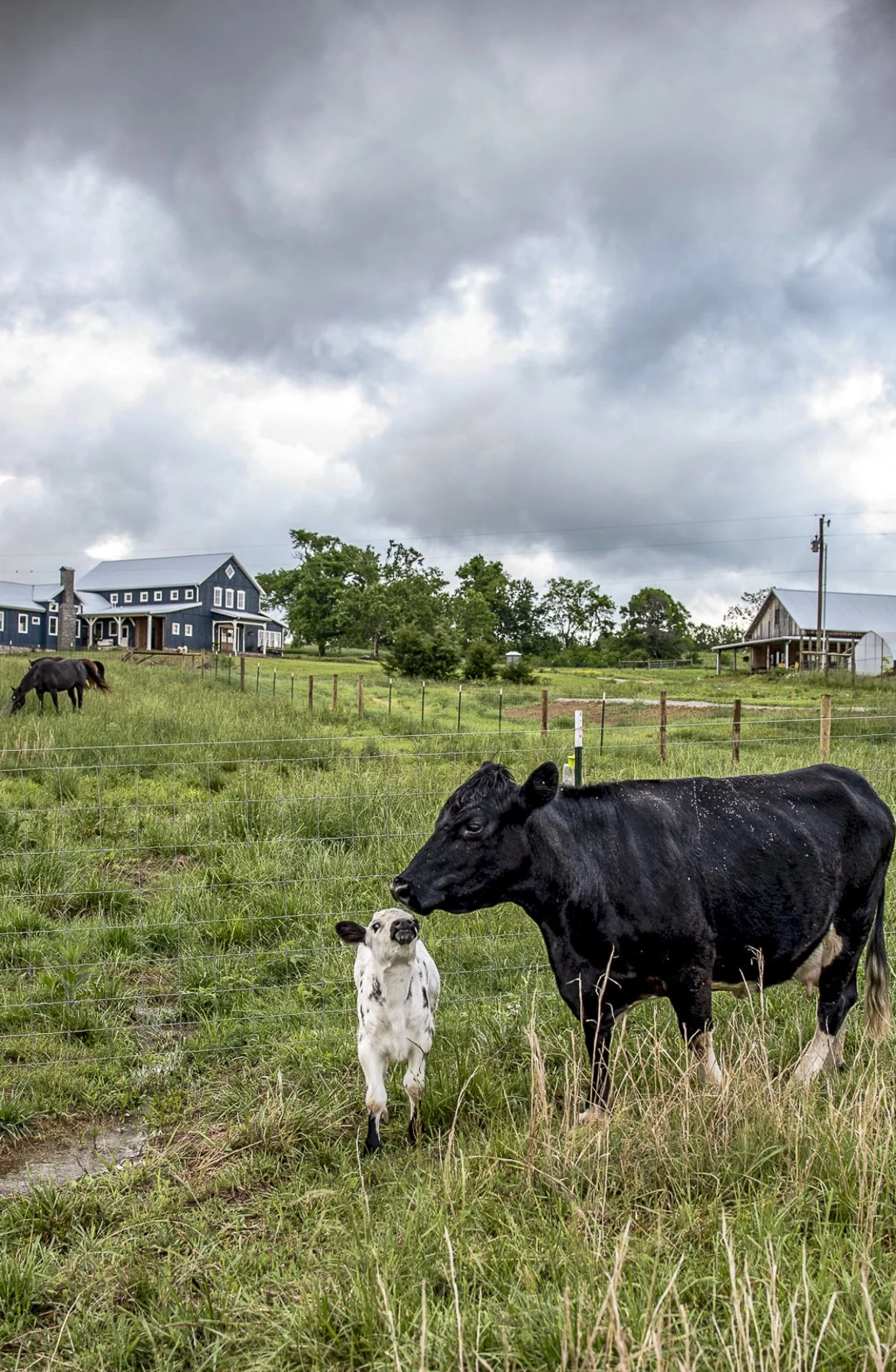 barn salvage-5.jpg