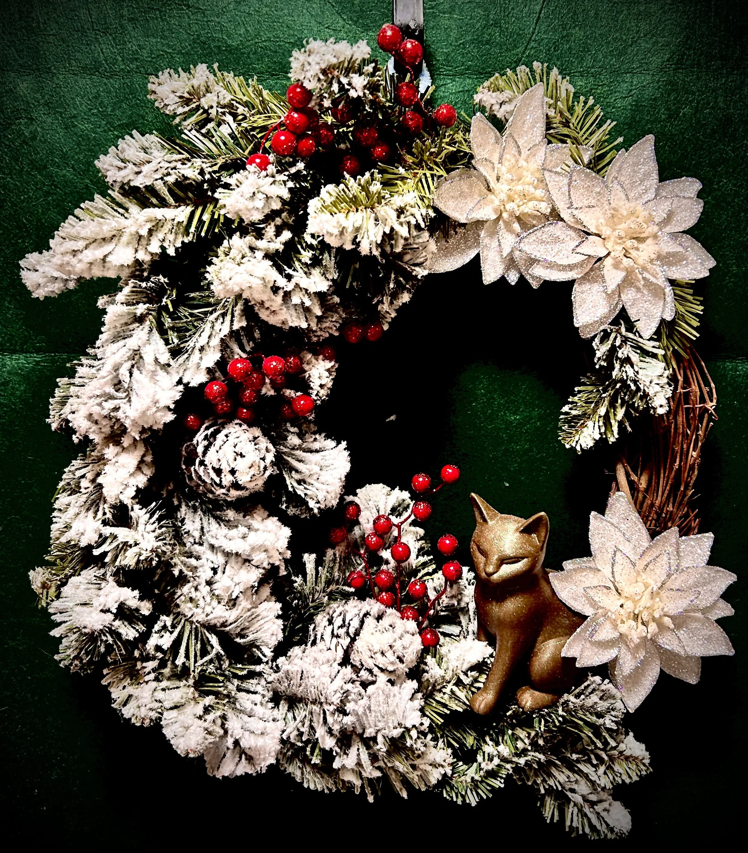 Winter with a Brown cat