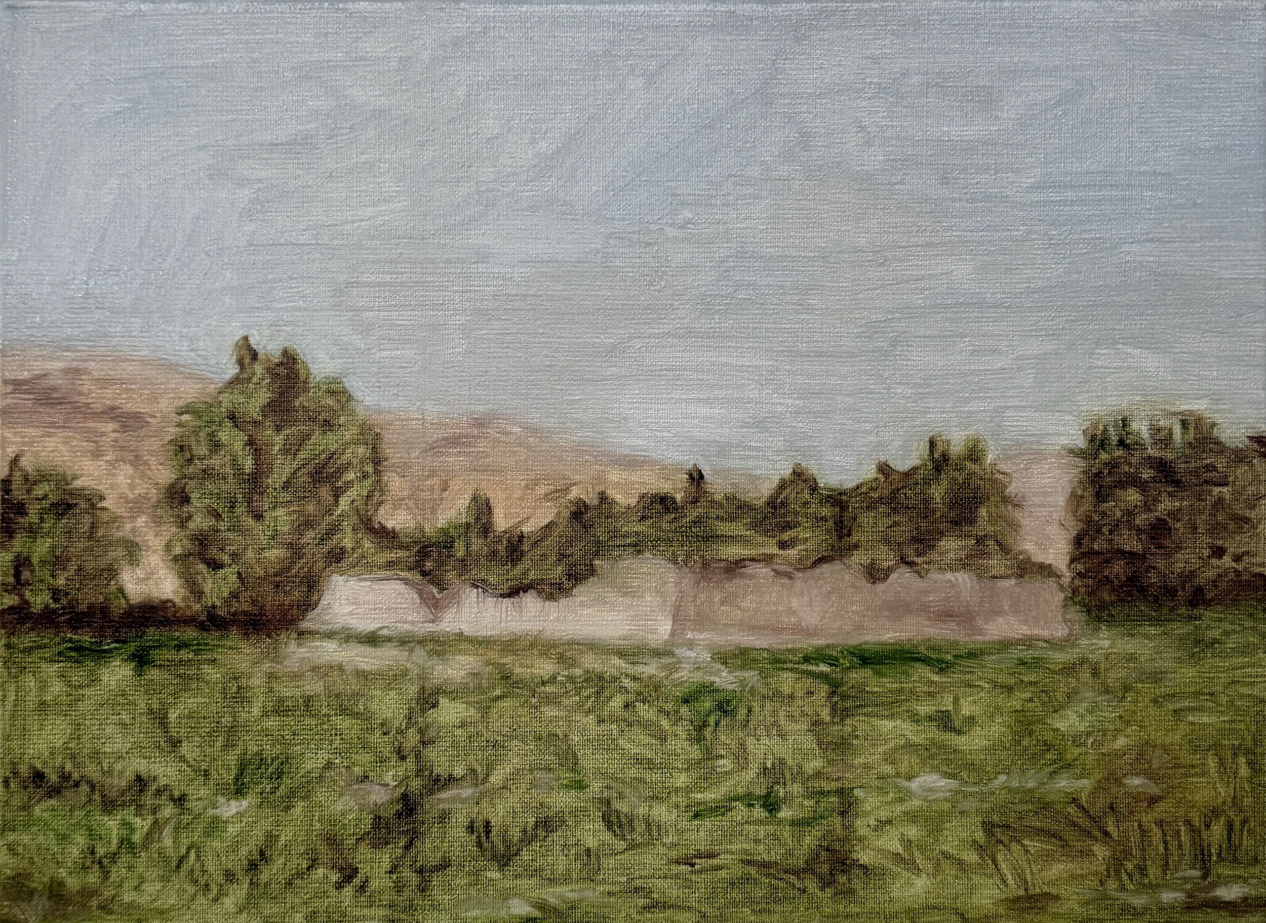 Hallucination 30 x 40 2026