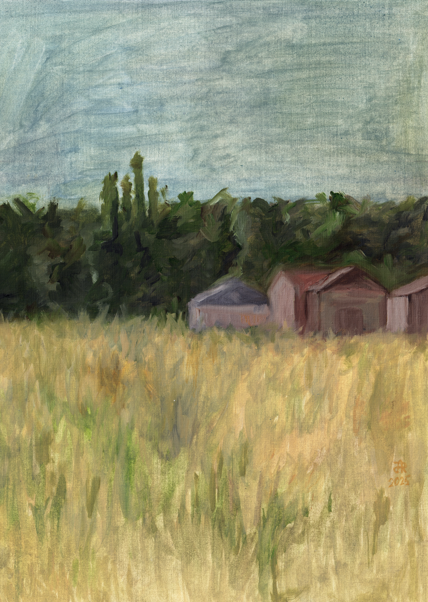 Landscape 30 x 50 cm 2025