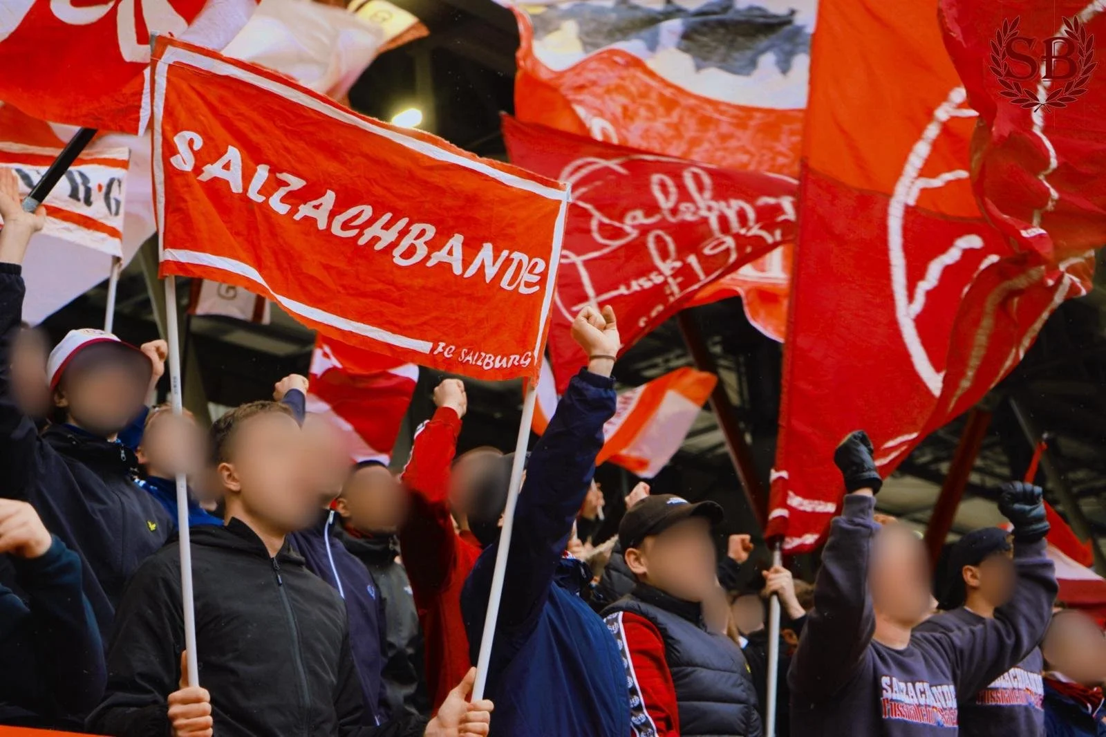 WhatsApp Image 2026-03-17 at 20.15.40.jpeg