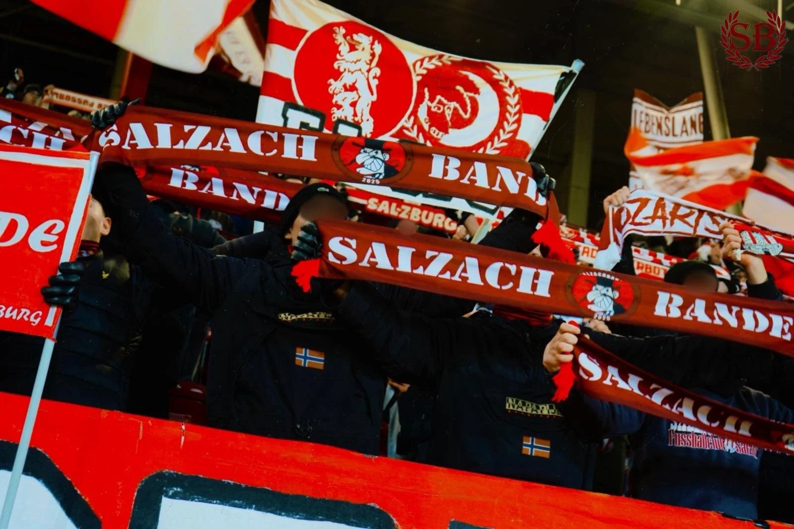 WhatsApp Image 2026-02-11 at 21.45.19.jpeg