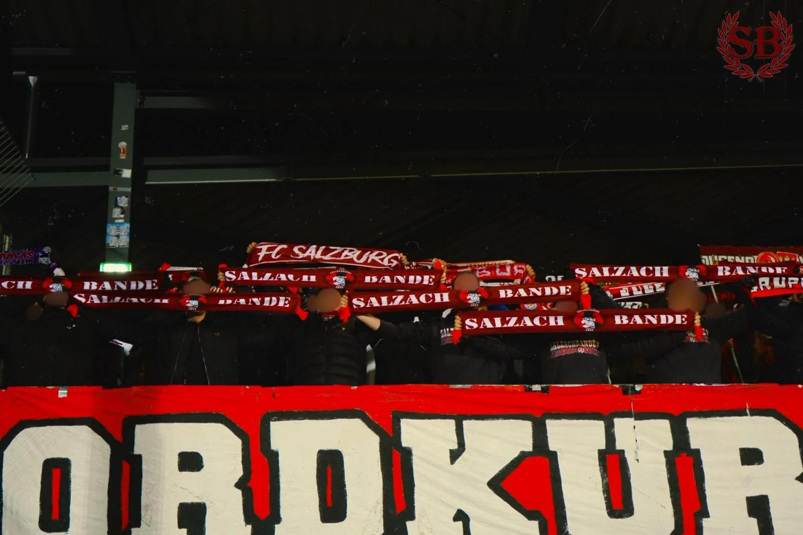 WhatsApp Image 2026-02-04 at 20.49.38 (2).jpeg