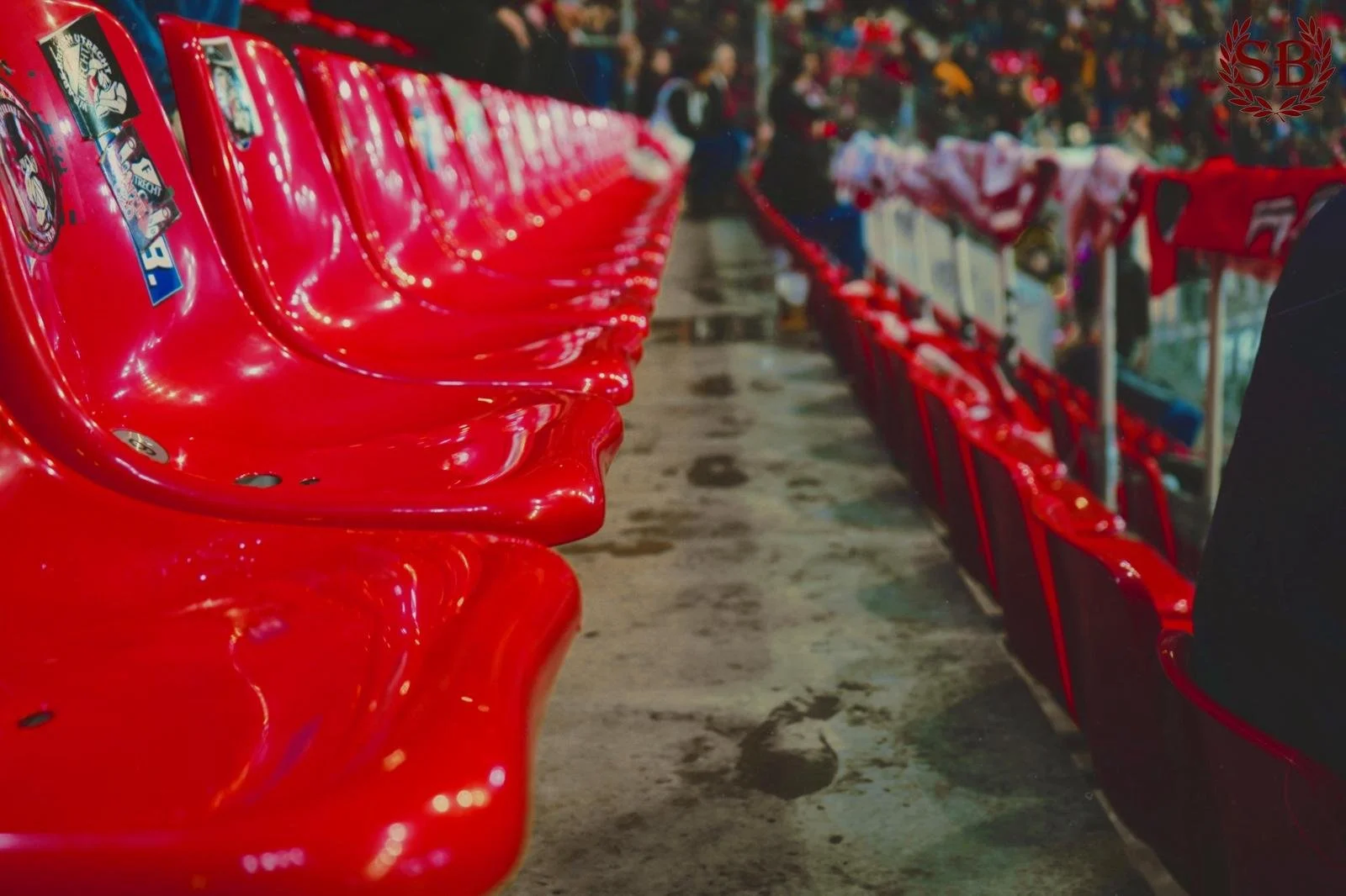 WhatsApp Image 2025-12-14 at 17.32.05 (1).jpeg