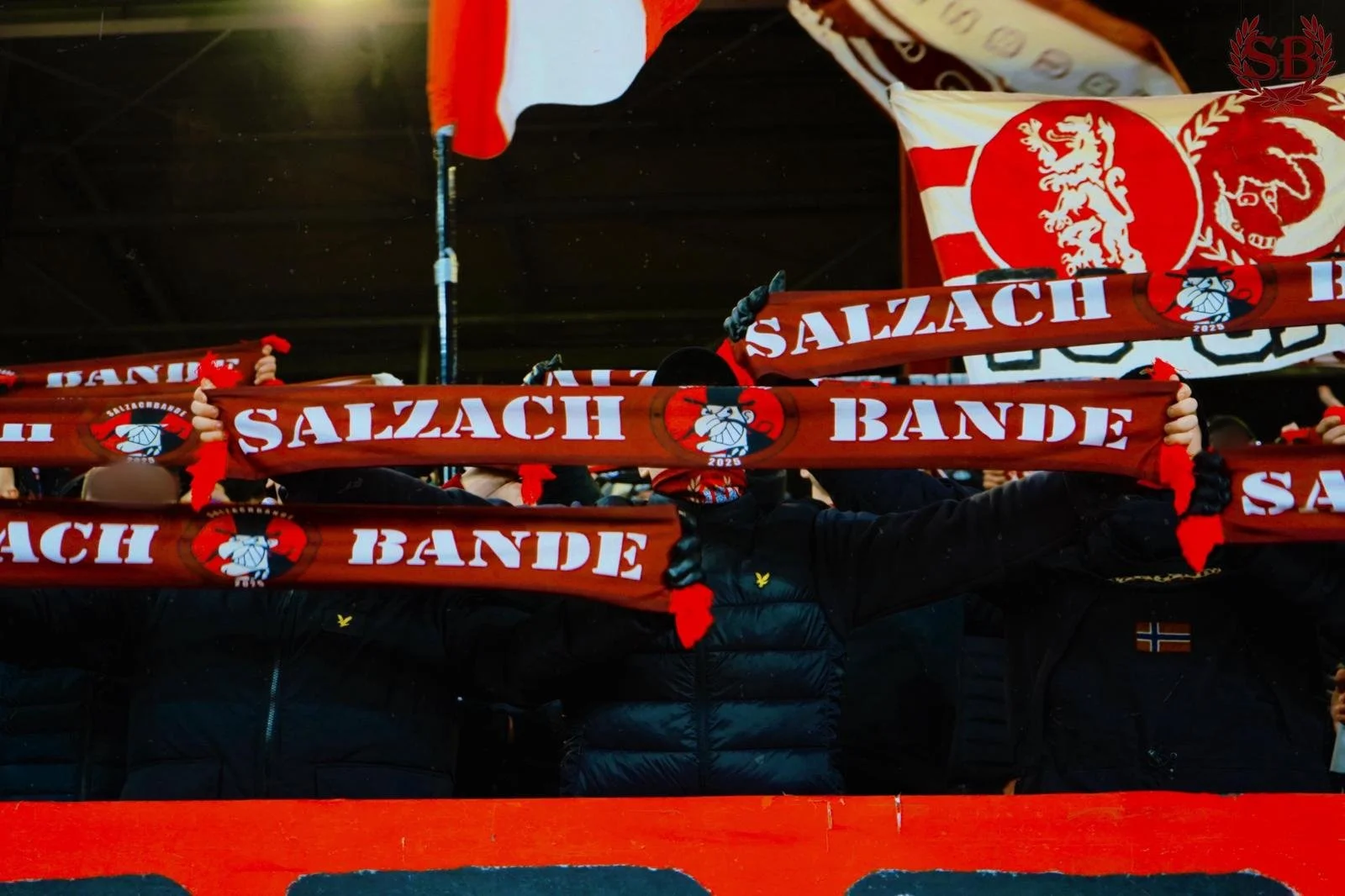 WhatsApp Image 2026-02-11 at 21.44.46.jpeg