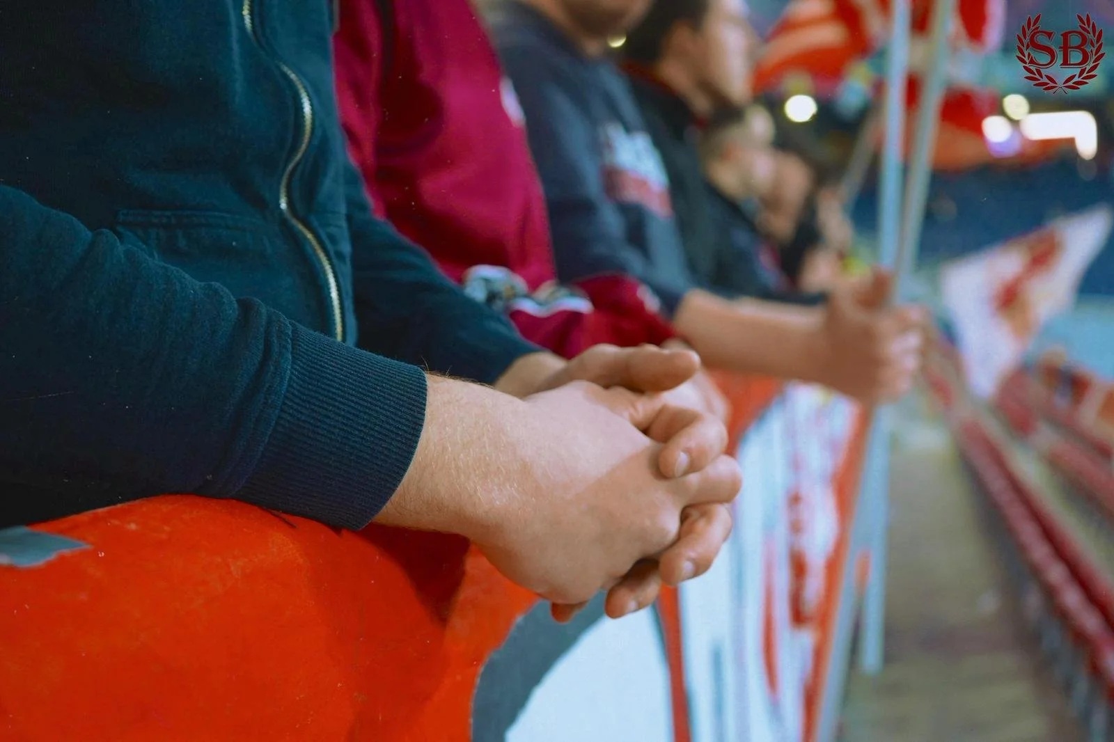 WhatsApp Image 2026-03-07 at 19.51.55.jpeg