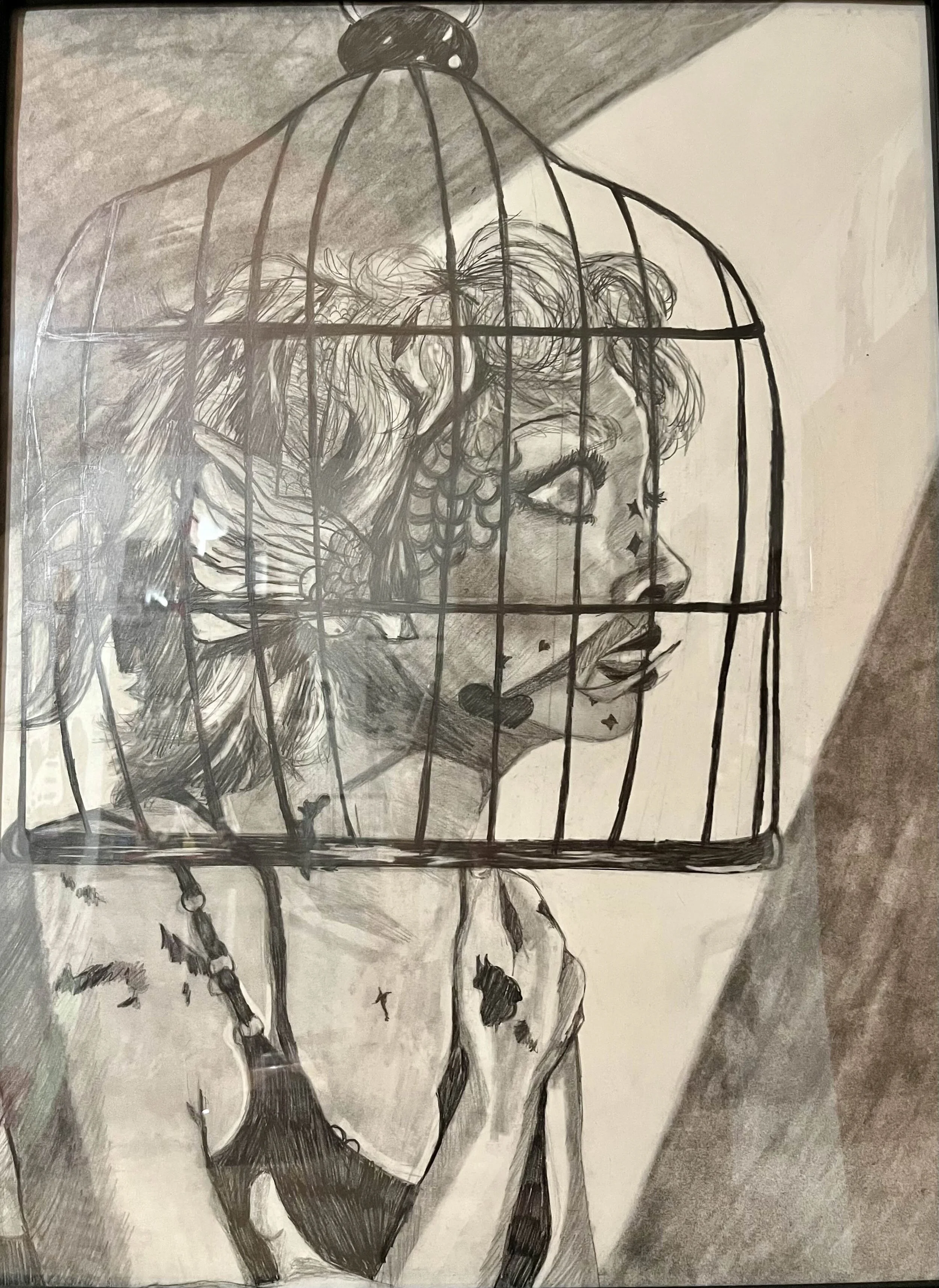 fish in a birdcage.jpg