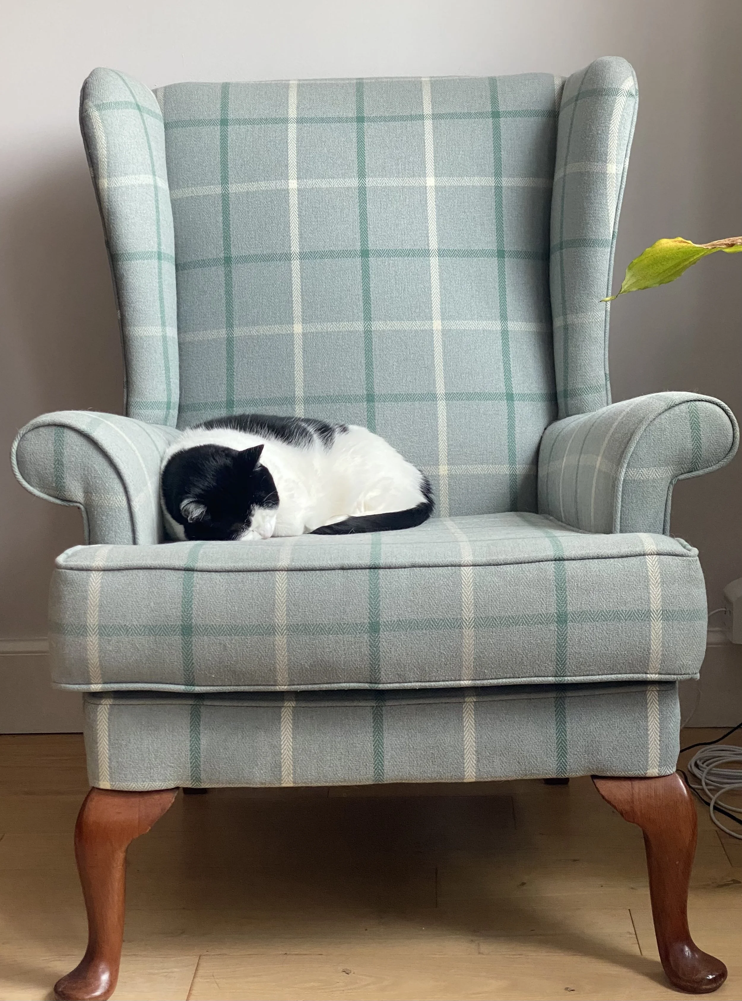 A black and white cat curled up and sleeping on a vintage plaid upholstered armchair with wooden legs, positioned against a plain wall and on a hardwood floor.