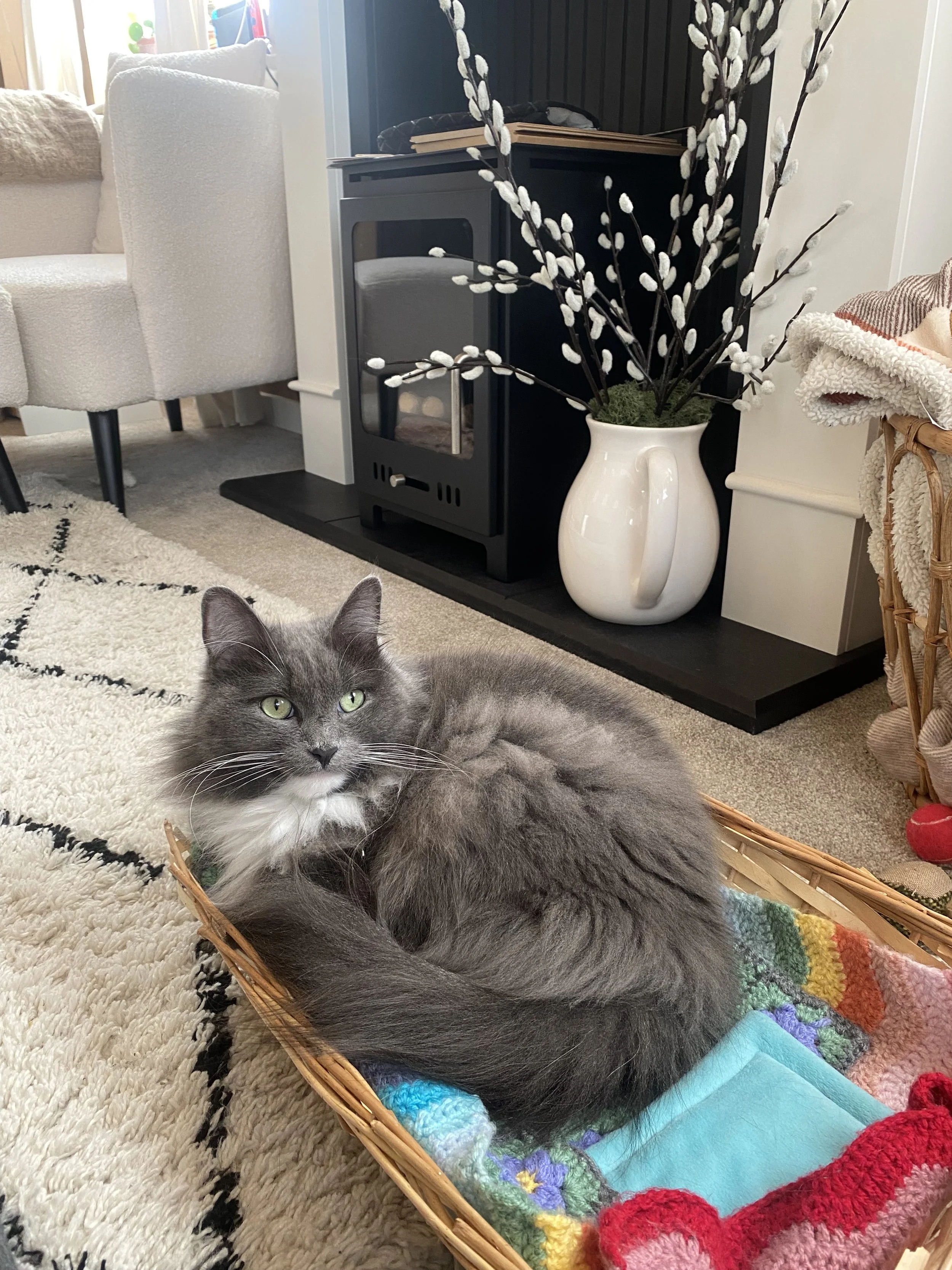 A fluffy gray cat with green eyes lying in a woven basket with a colorful crocheted blanket inside it, on a beige carpet in a cozy room.