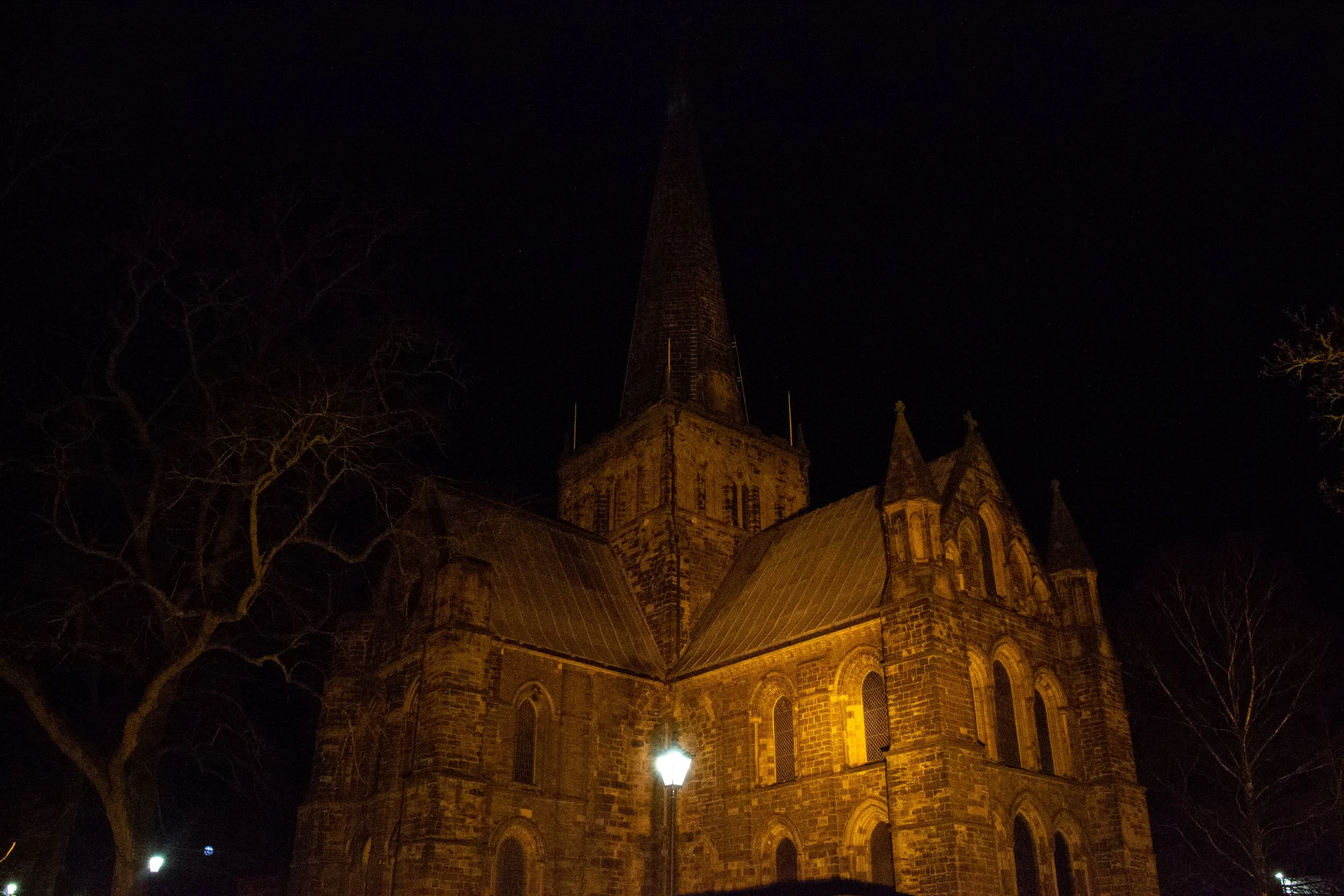 DSC_0372.jpg