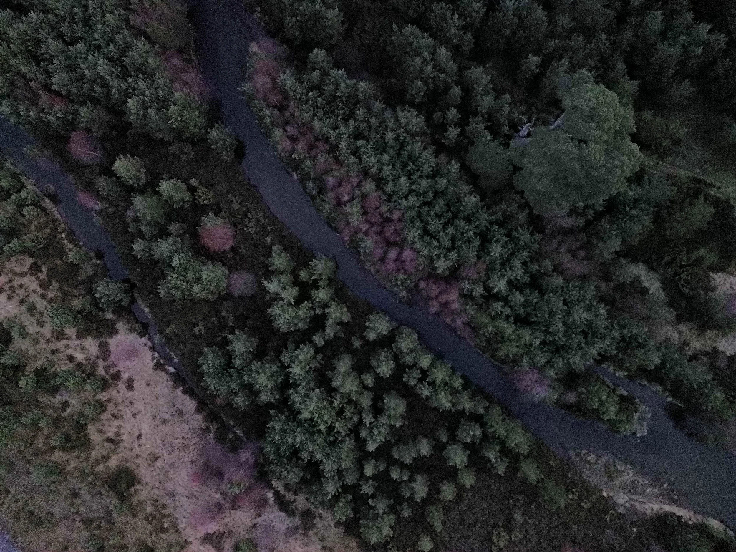 dji_fly_20250117_081040_84_1737101806240_photo_optimized.jpg