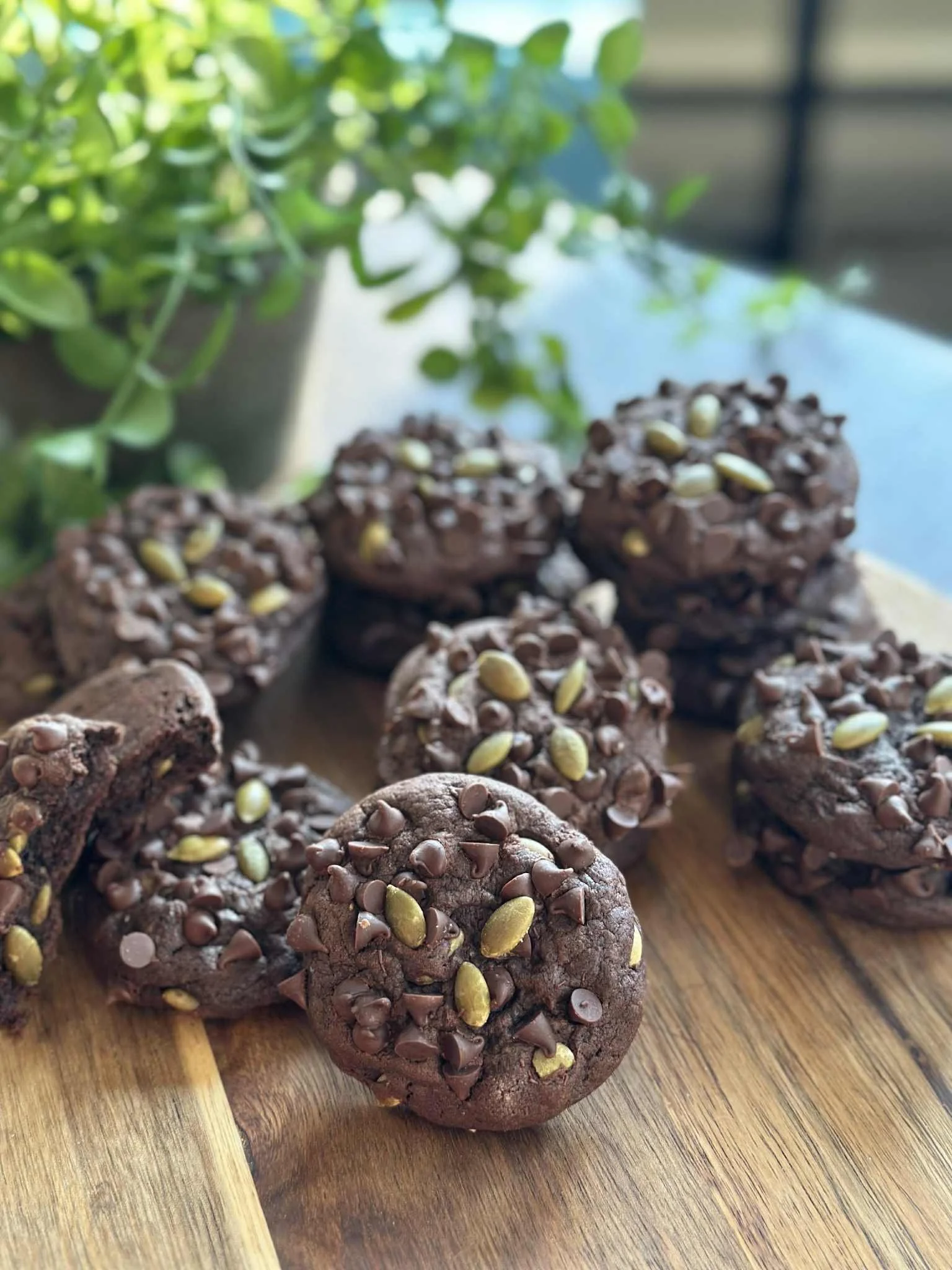 Close-up of several chocolate cookies topped with chocolate chips and sunflower seeds on a wooden surface, with a green plant in the background.