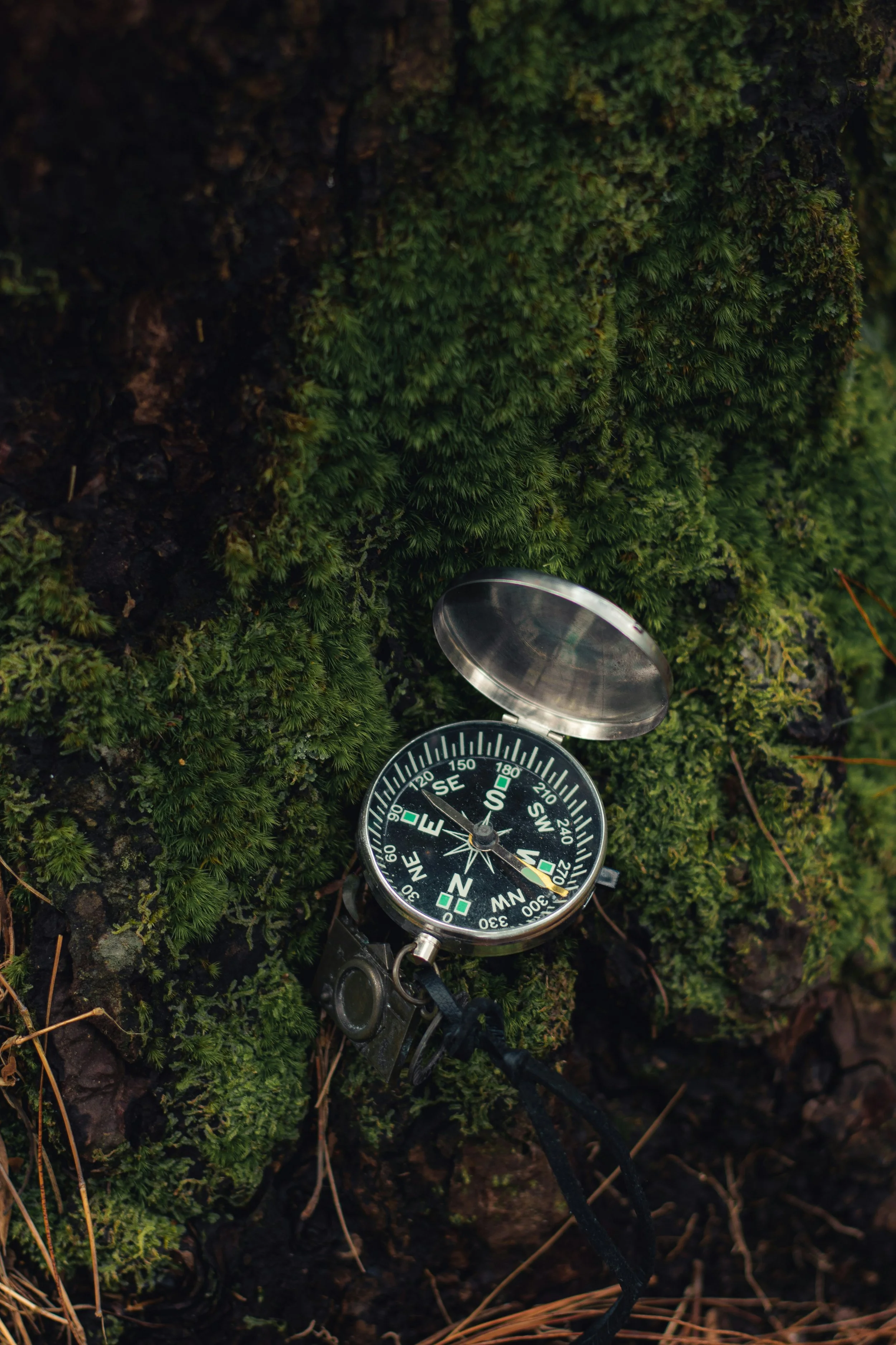 dhilip-antony-8RvJfwvVVWY-unsplash.jpg